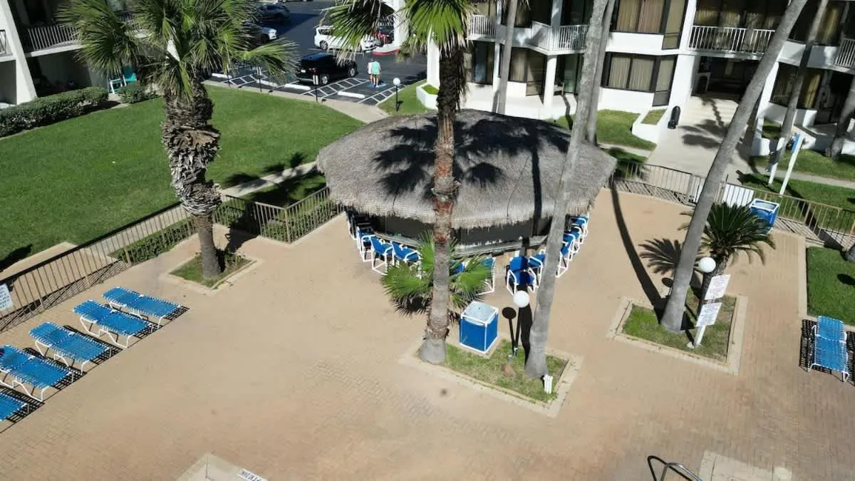 Swimming pool in Saida Royale 9039