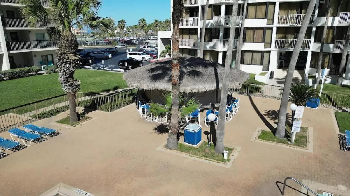 Swimming pool in Saida Royale 9039