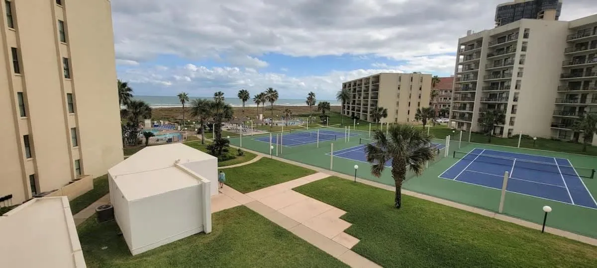 Sports in Saida Royale 9039