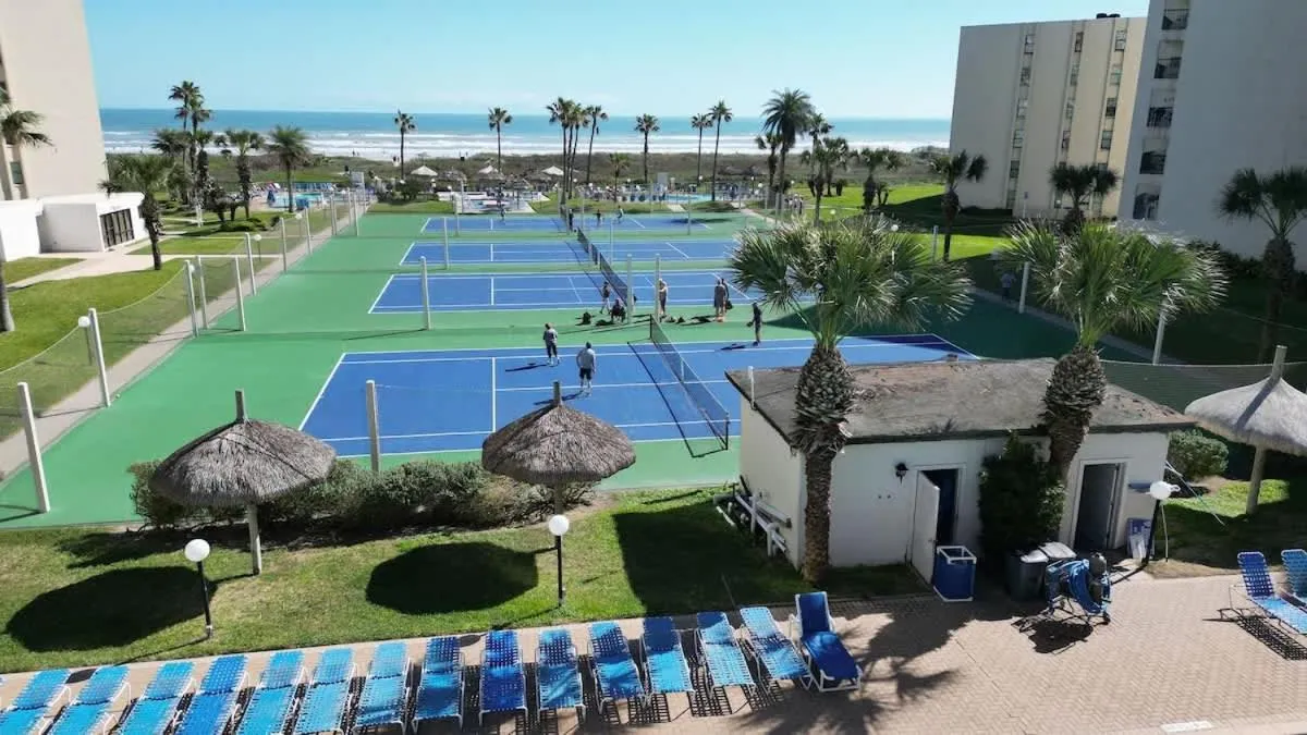 Sports in Saida Royale 9039