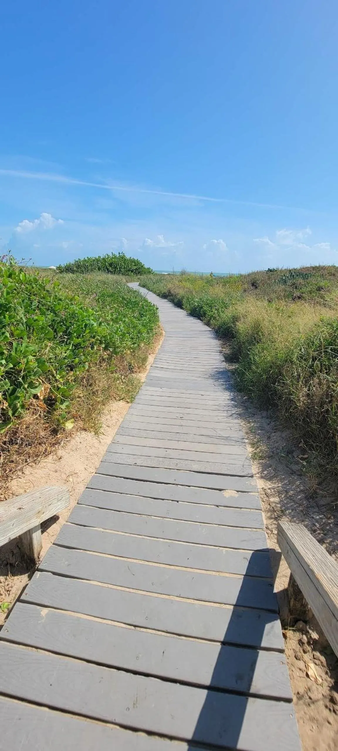 Other in Saida Royale 9039