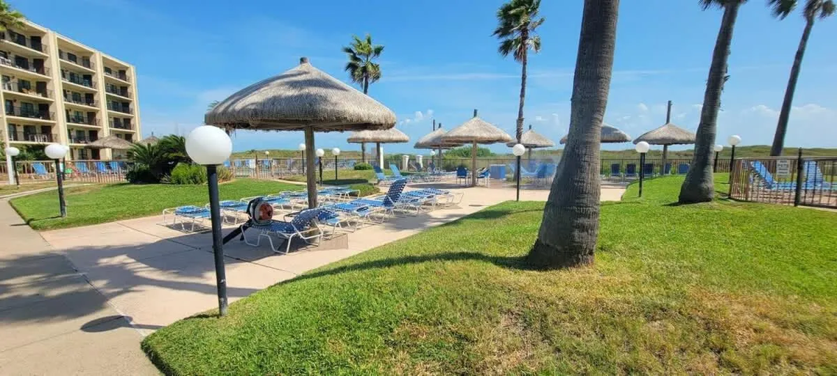 Swimming pool in Saida Royale 9039