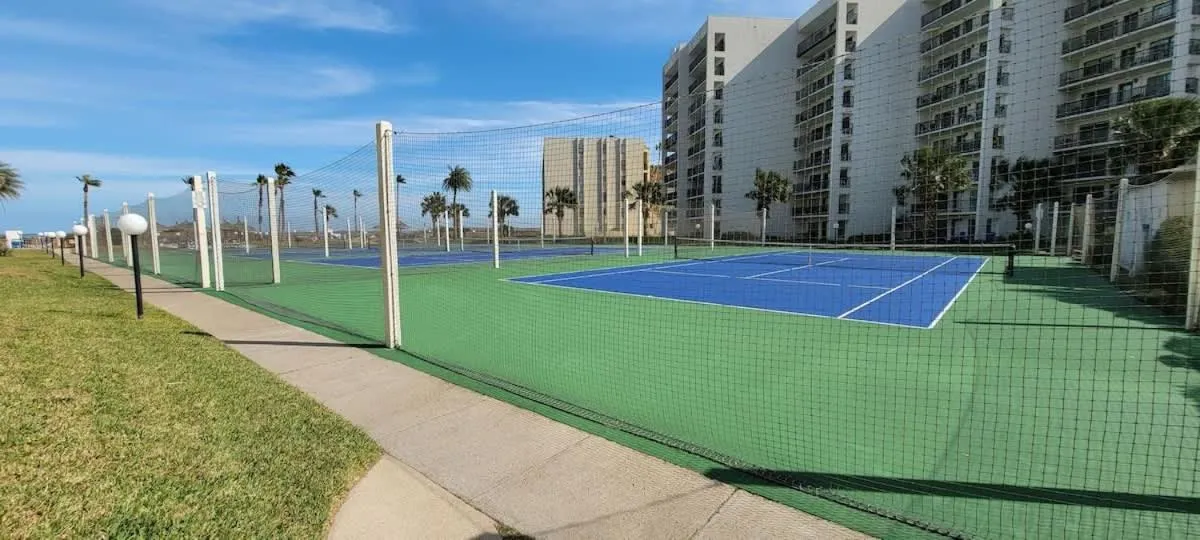 Sports in Saida Royale 9039