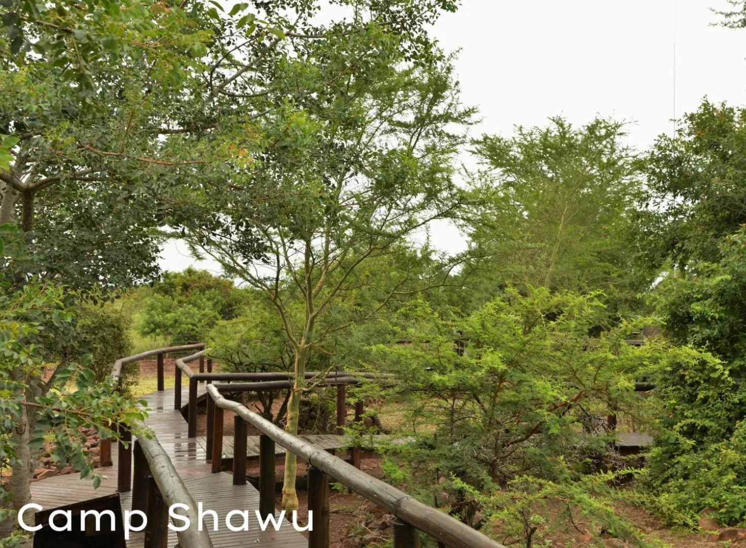 View (from property/room) in Shishangeni Lodge In Kruger National Park