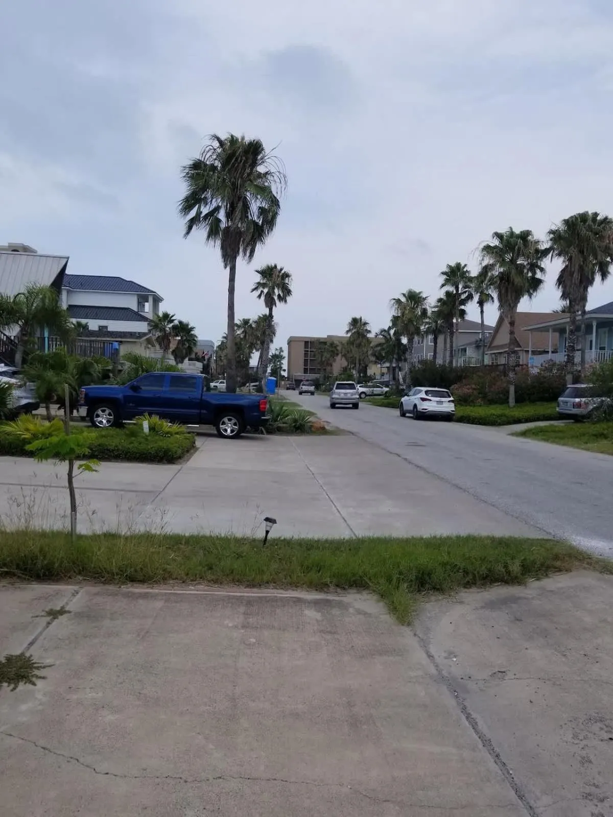 Other in Blue Siren House