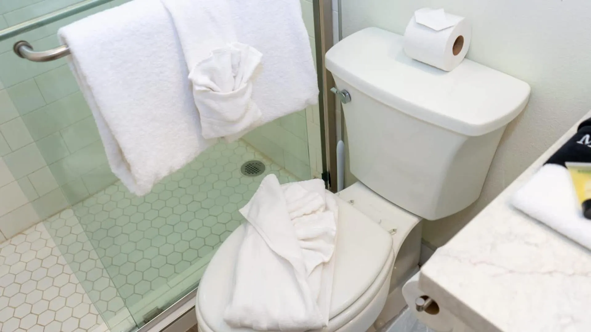 Bathroom in La Internacional 313