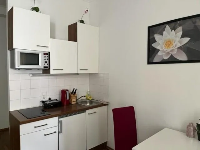 Kitchen or kitchenette in Grand Central Station Apartments I contactless check-in