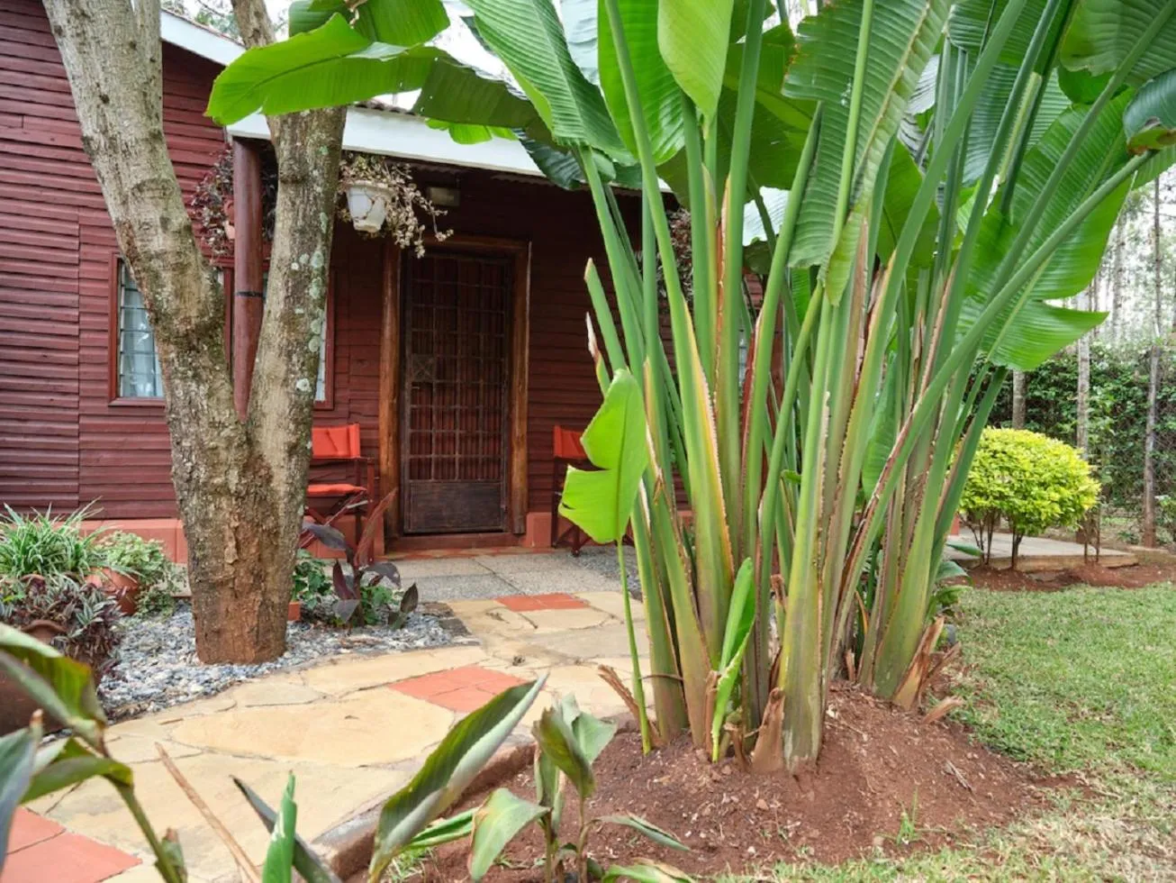 Property building in The Drexel House Kenya