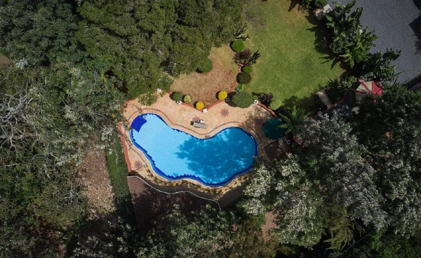Swimming pool in The Drexel House Kenya