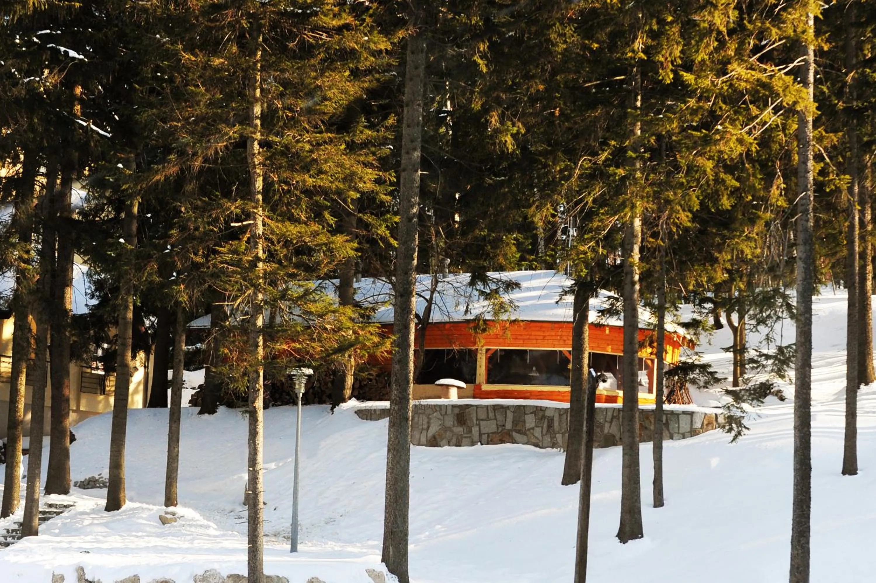 Winter in Hotel Vivaldi