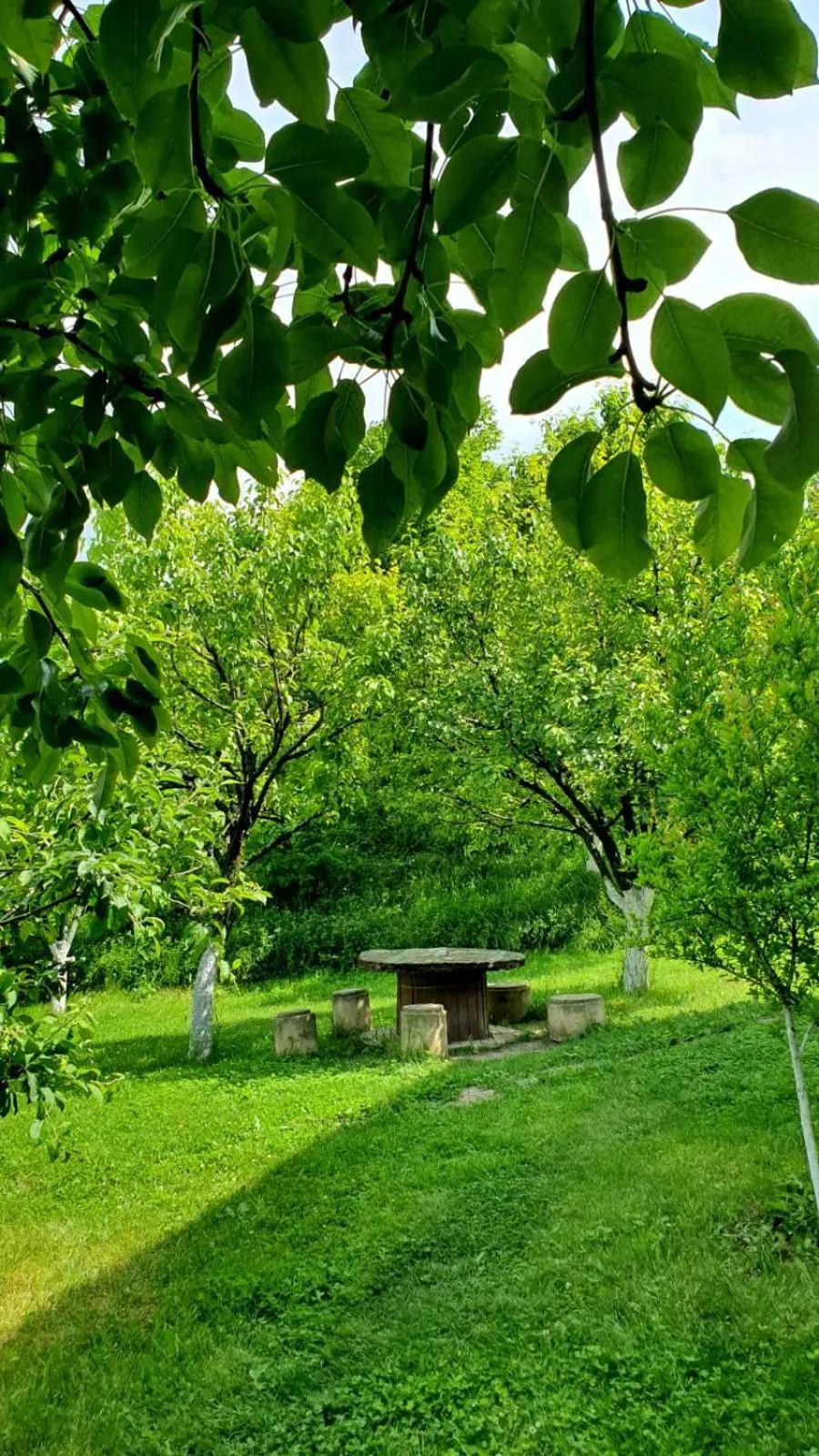 Spring in Guest House Ijevan's Garden