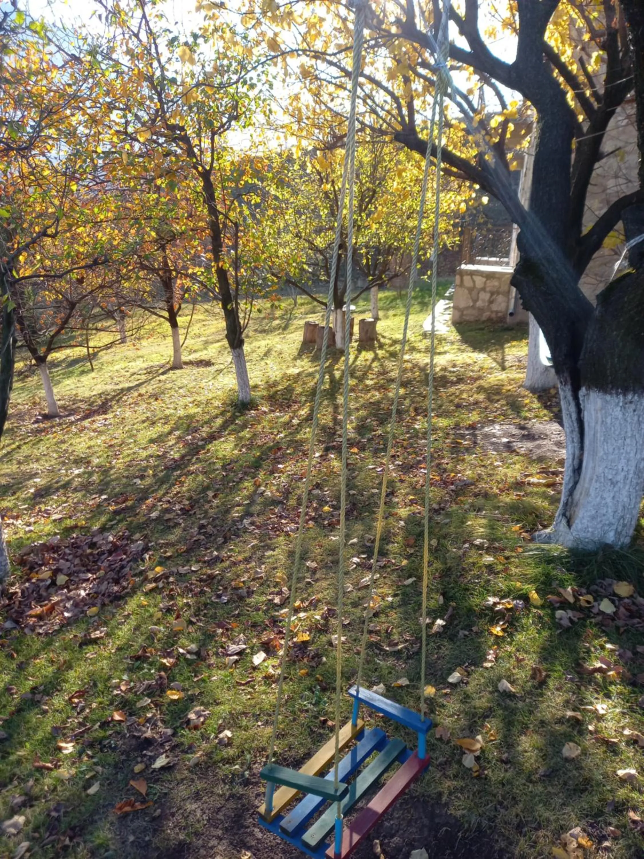 Spring in Guest House Ijevan's Garden