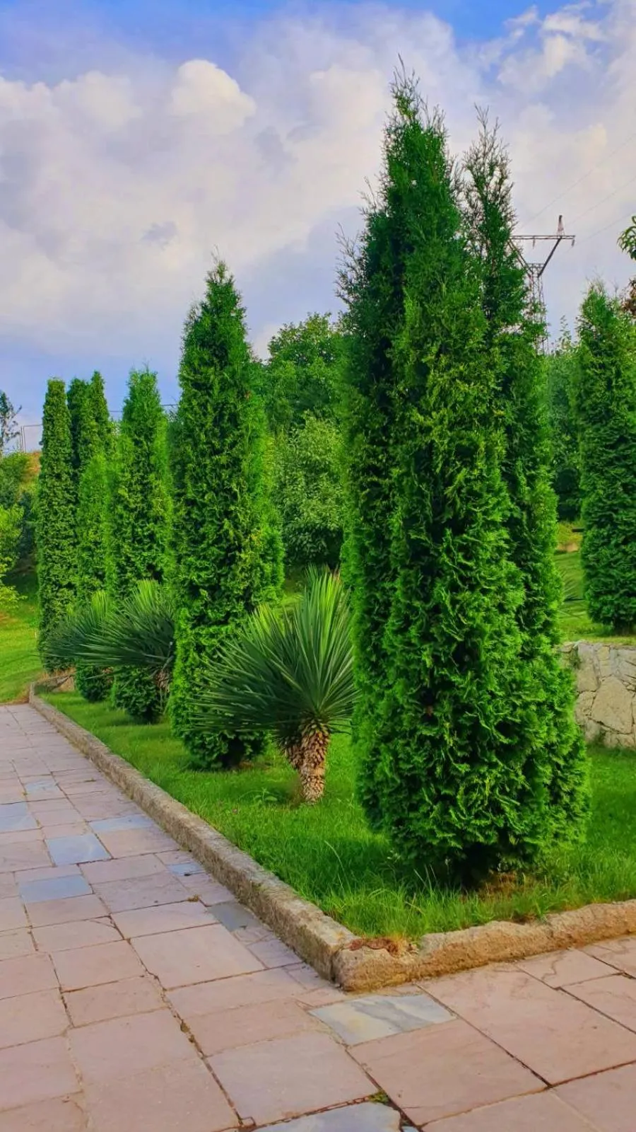 Spring in Guest House Ijevan's Garden