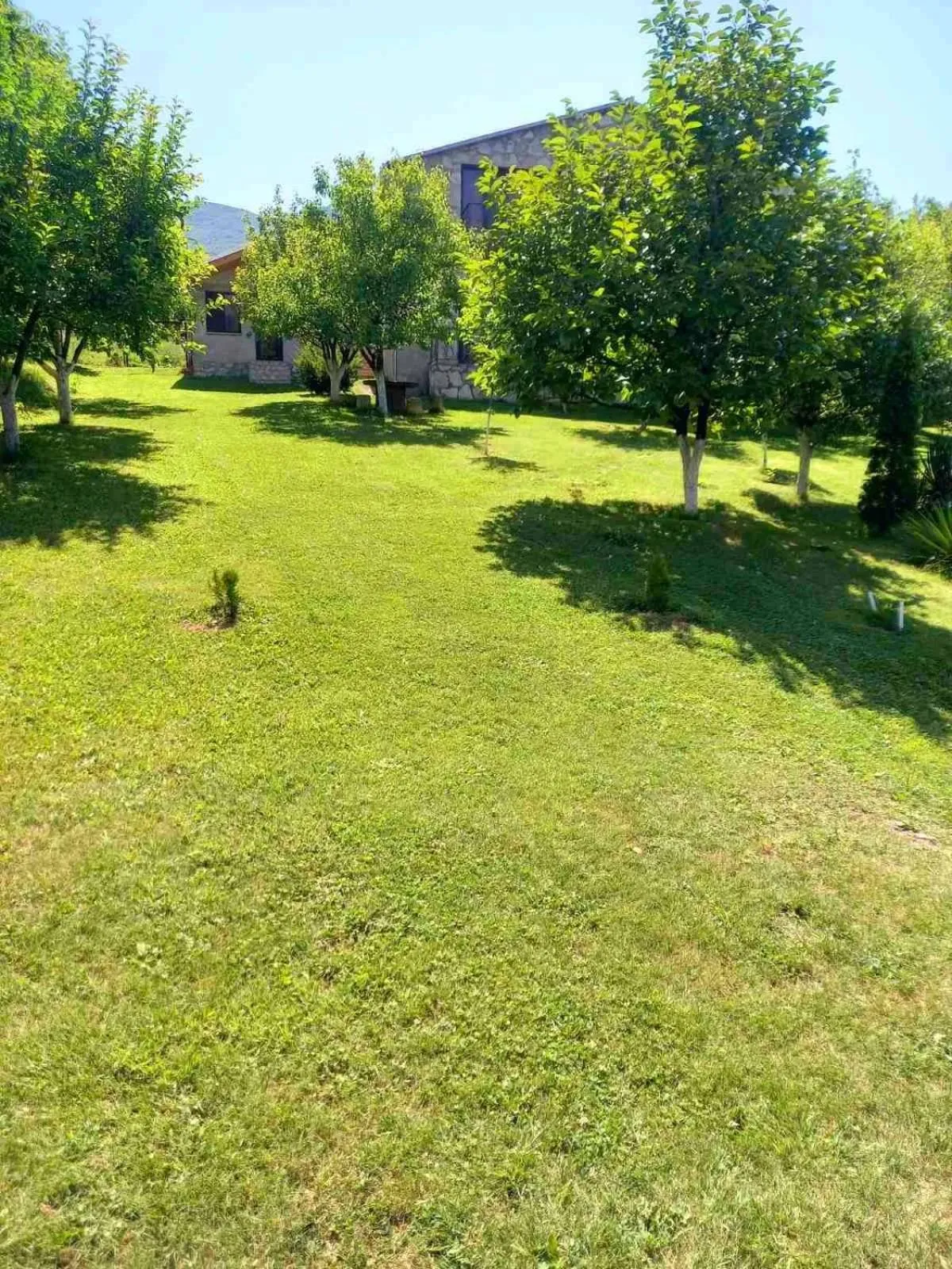 Spring in Guest House Ijevan's Garden