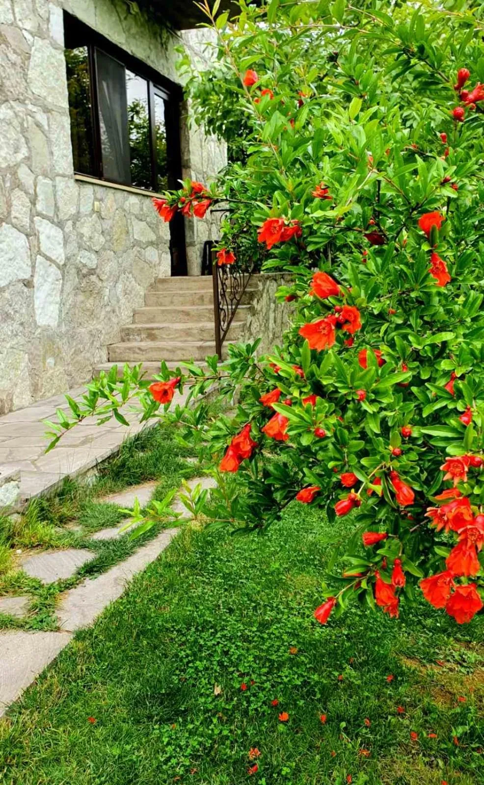 Spring in Guest House Ijevan's Garden