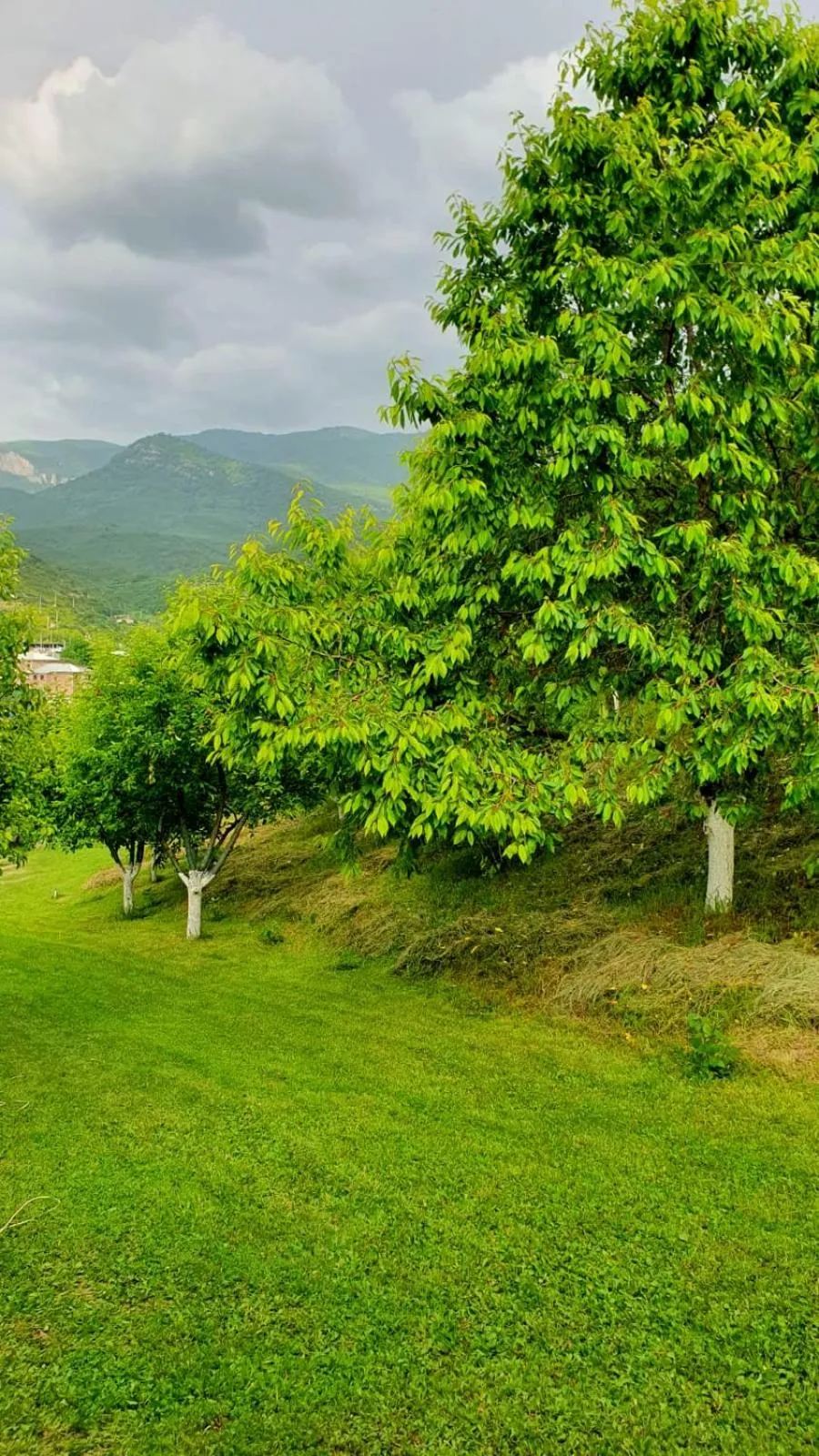 Nearby landmark in Guest House Ijevan's Garden