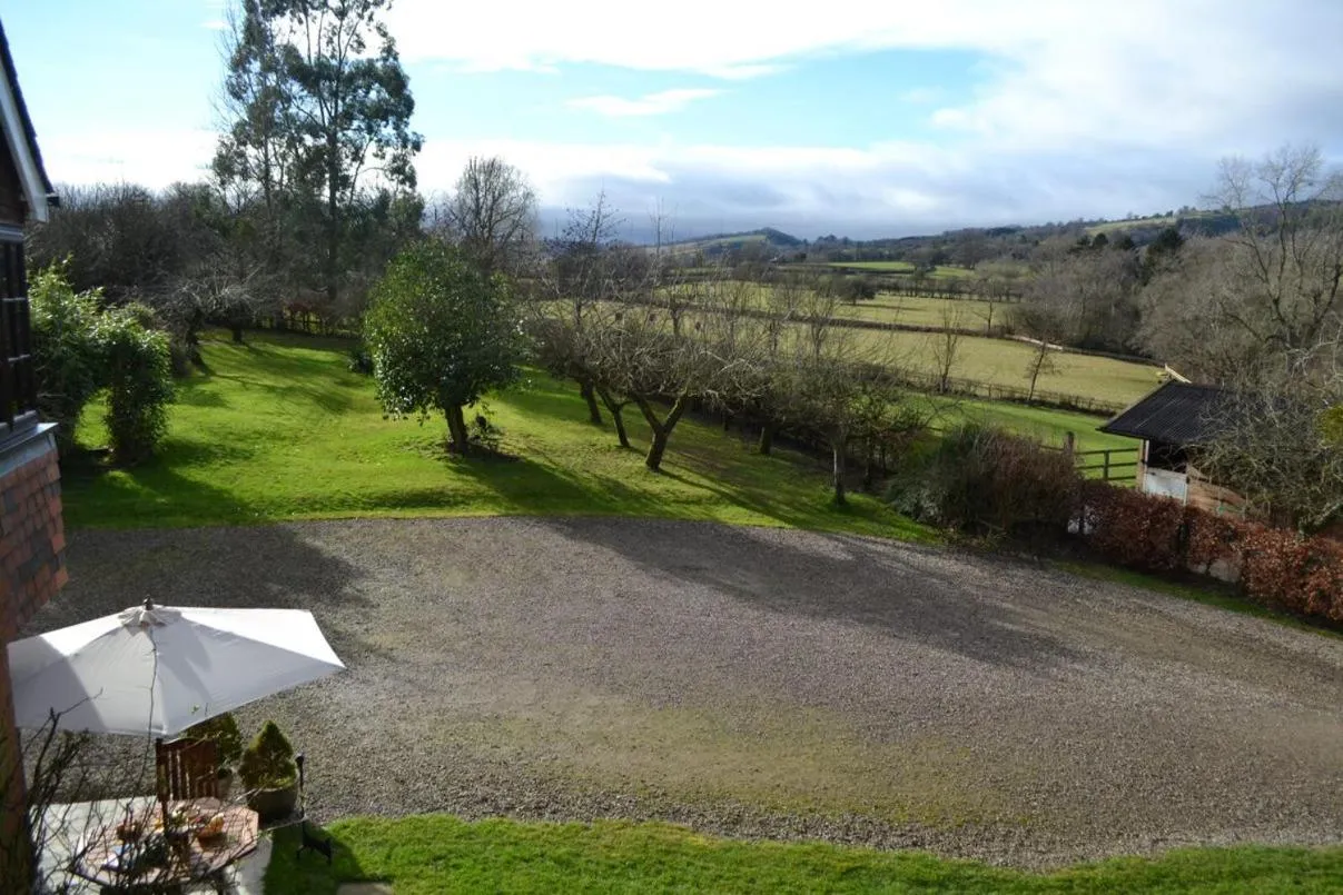 Garden view in The Cedars Ludlow