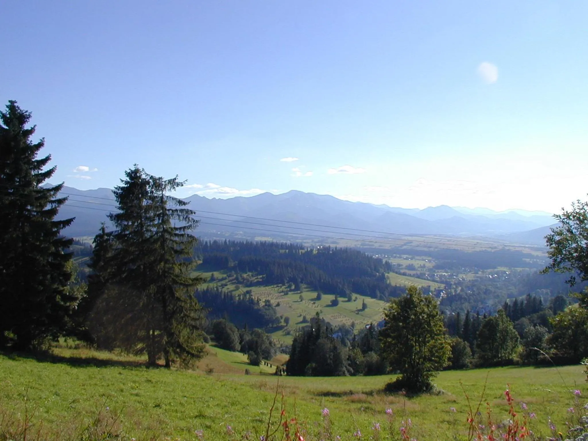 Area and facilities in Willa Litka