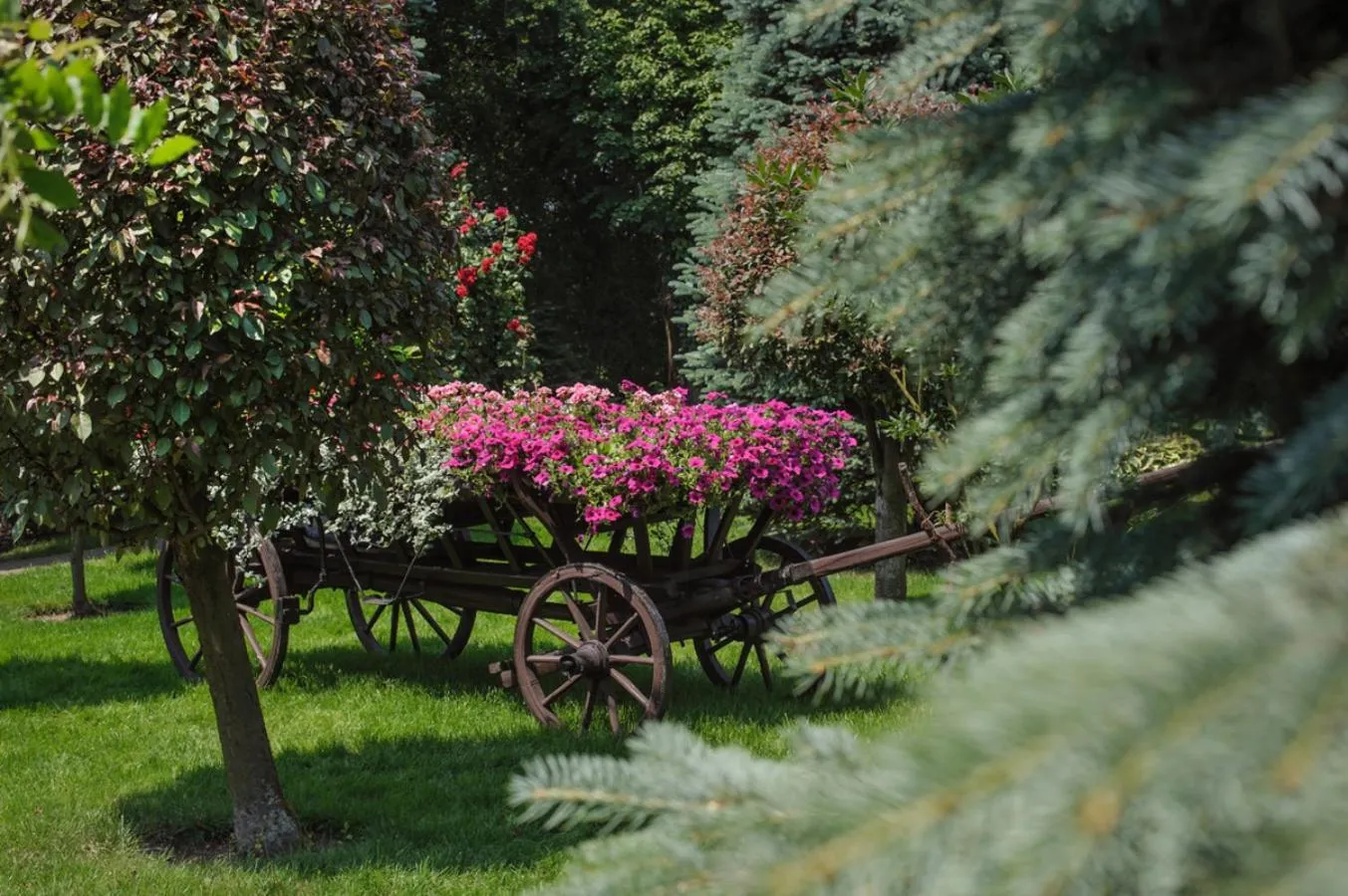 Garden in Booking Hotel & Spa