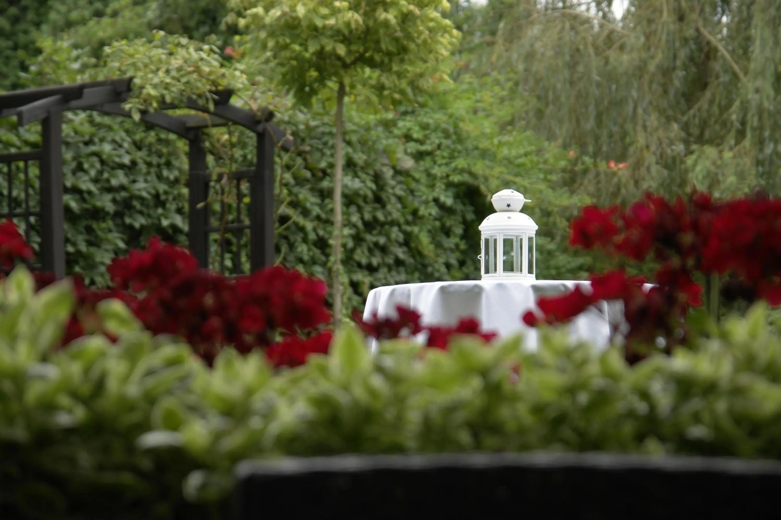 Garden in Booking Hotel & Spa