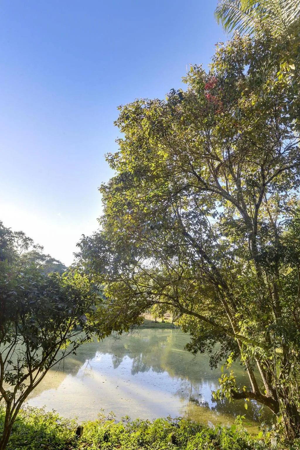 Natural landscape in Pousada Trem Chic