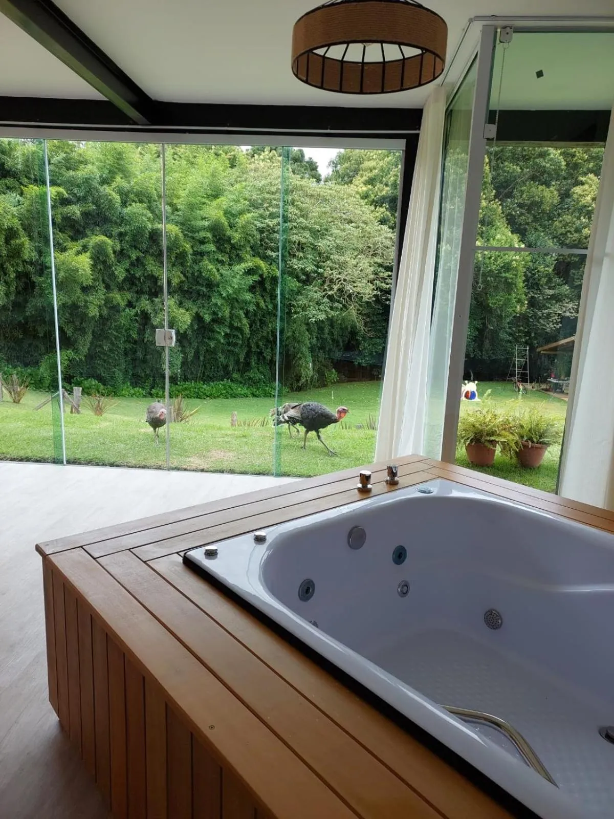 Natural landscape in Pousada Trem Chic