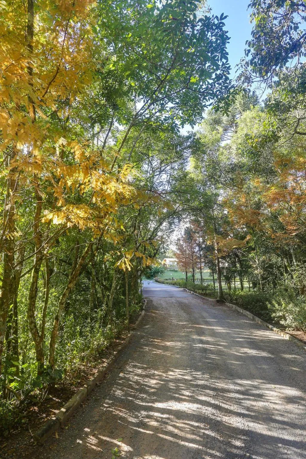 Garden in Pousada Trem Chic