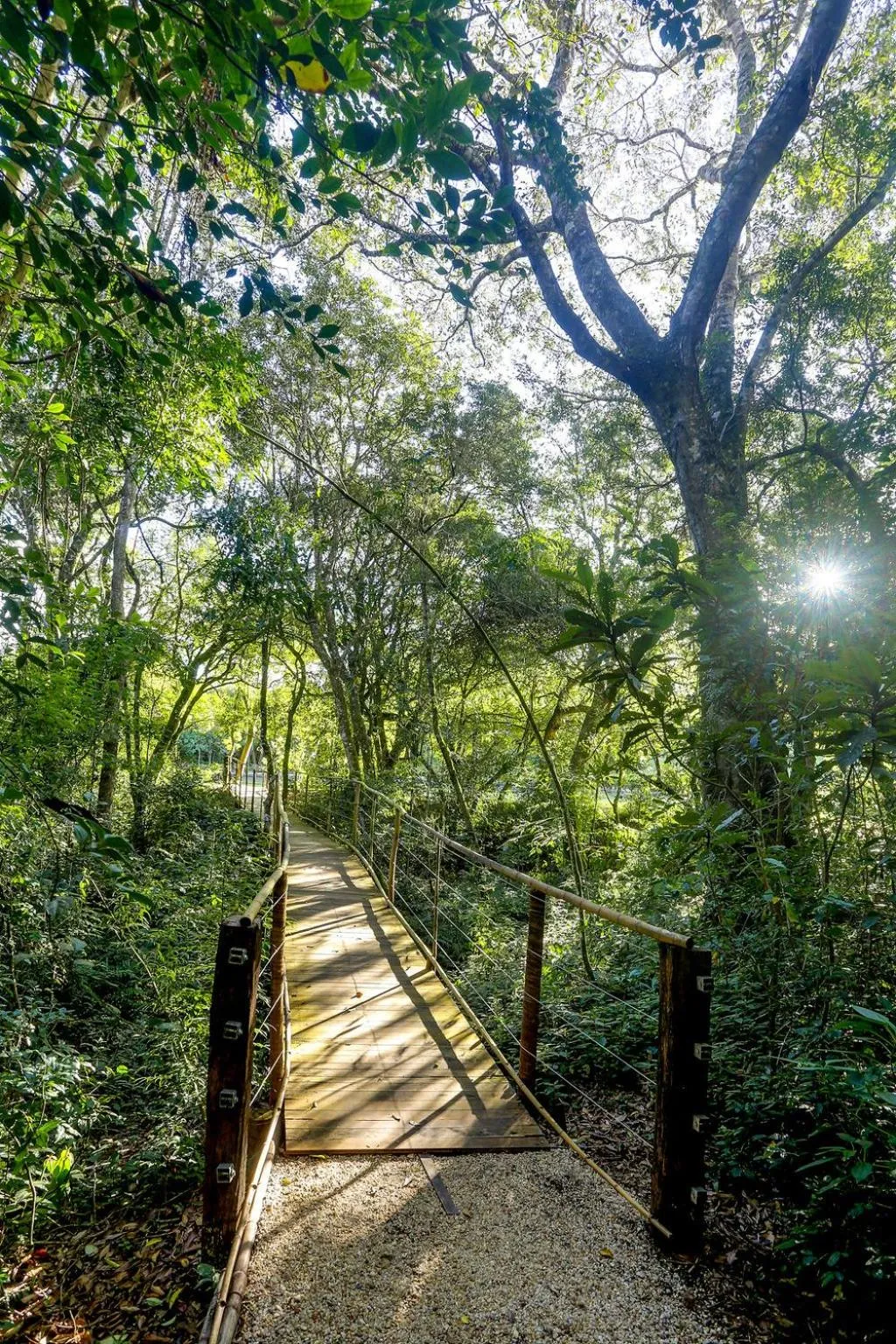 Garden in Pousada Trem Chic