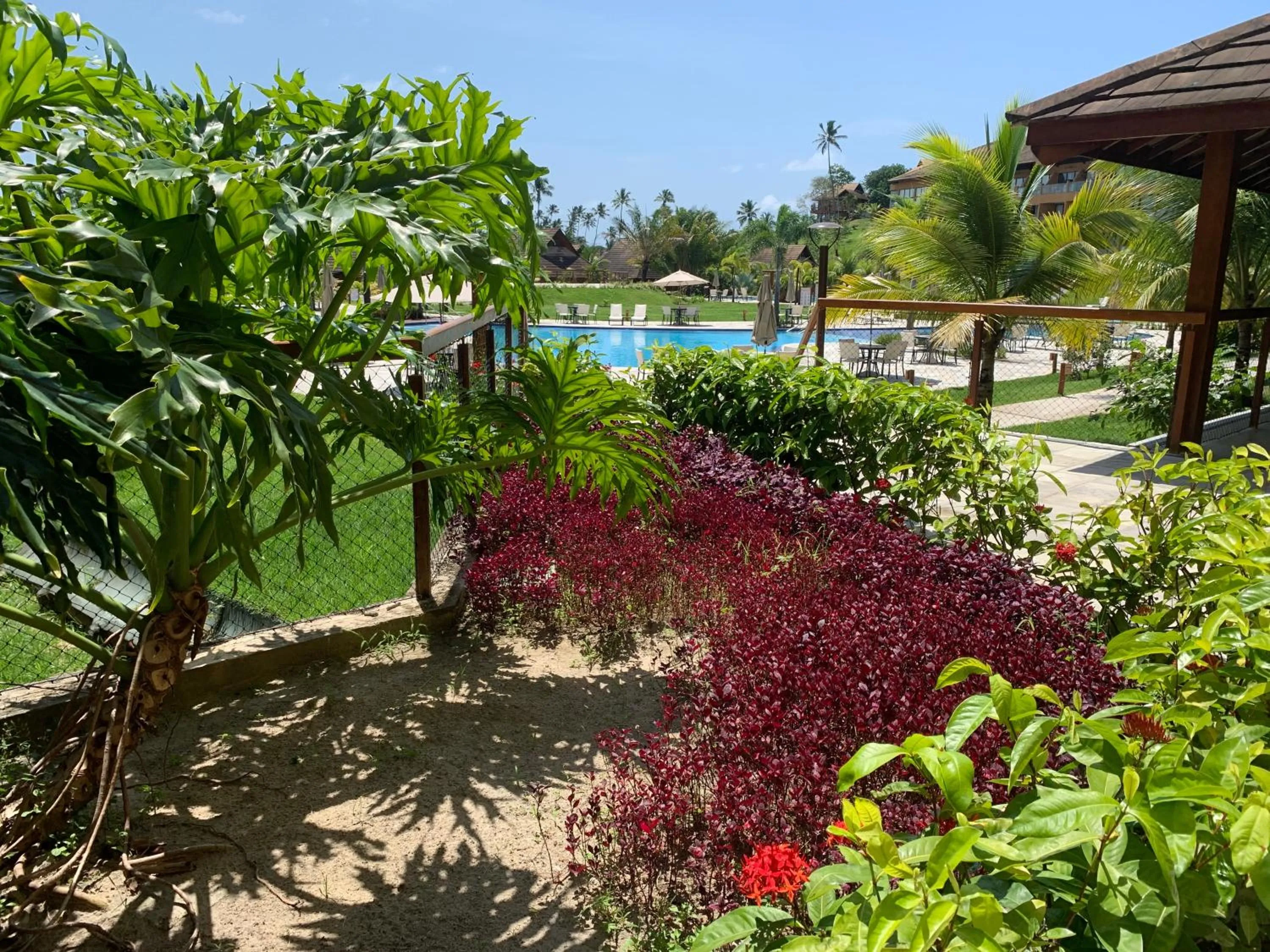 Garden in FLAT ECO RESORT PRAIA DOS CARNEIROS