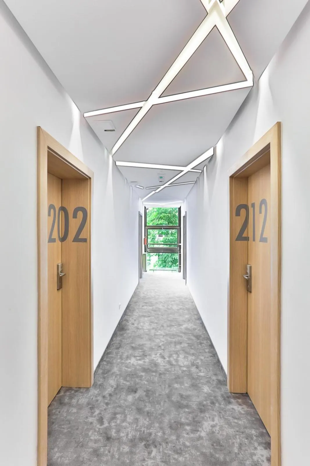 Area and facilities in Villa Ozone