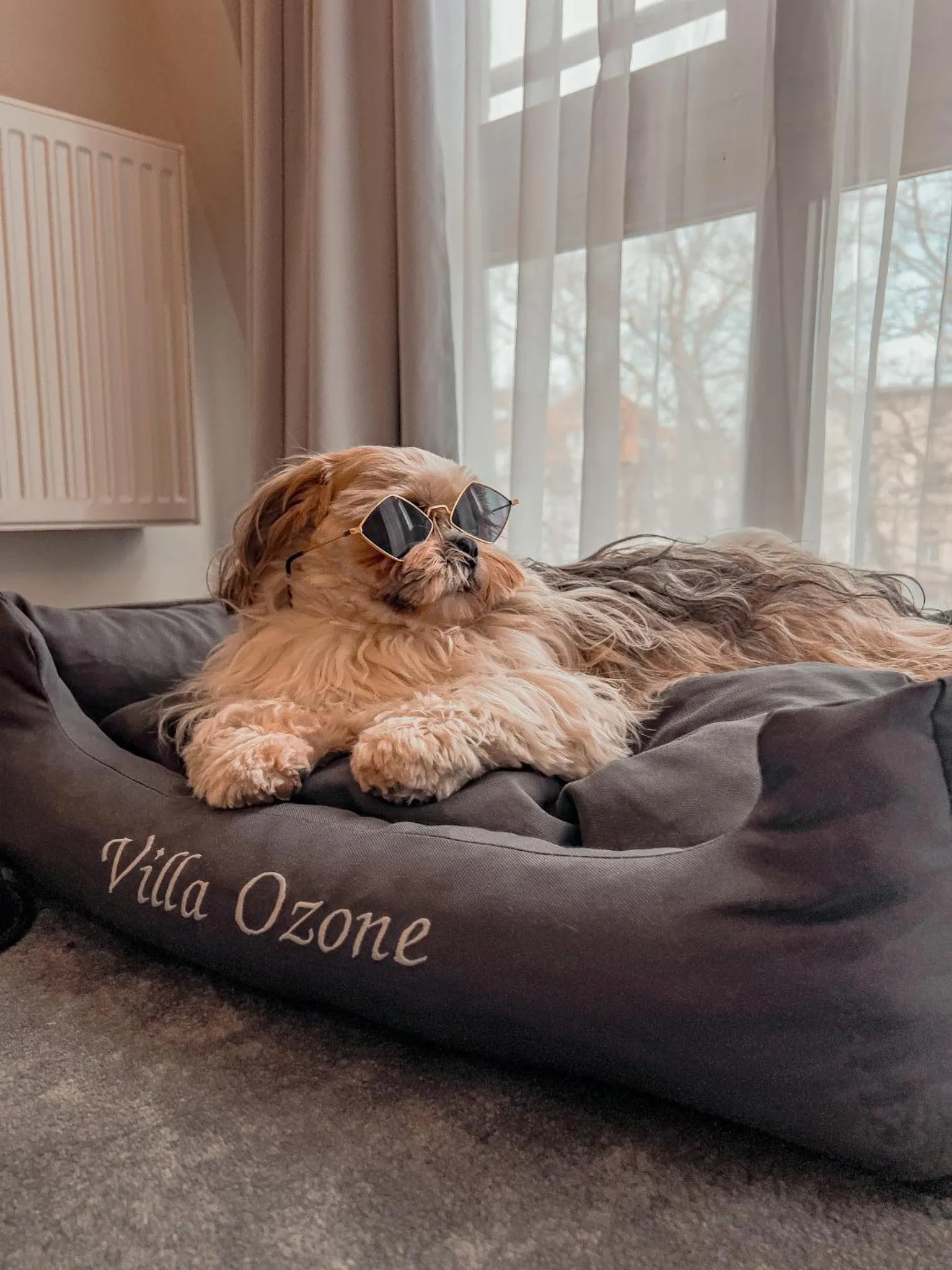 Animals in Villa Ozone