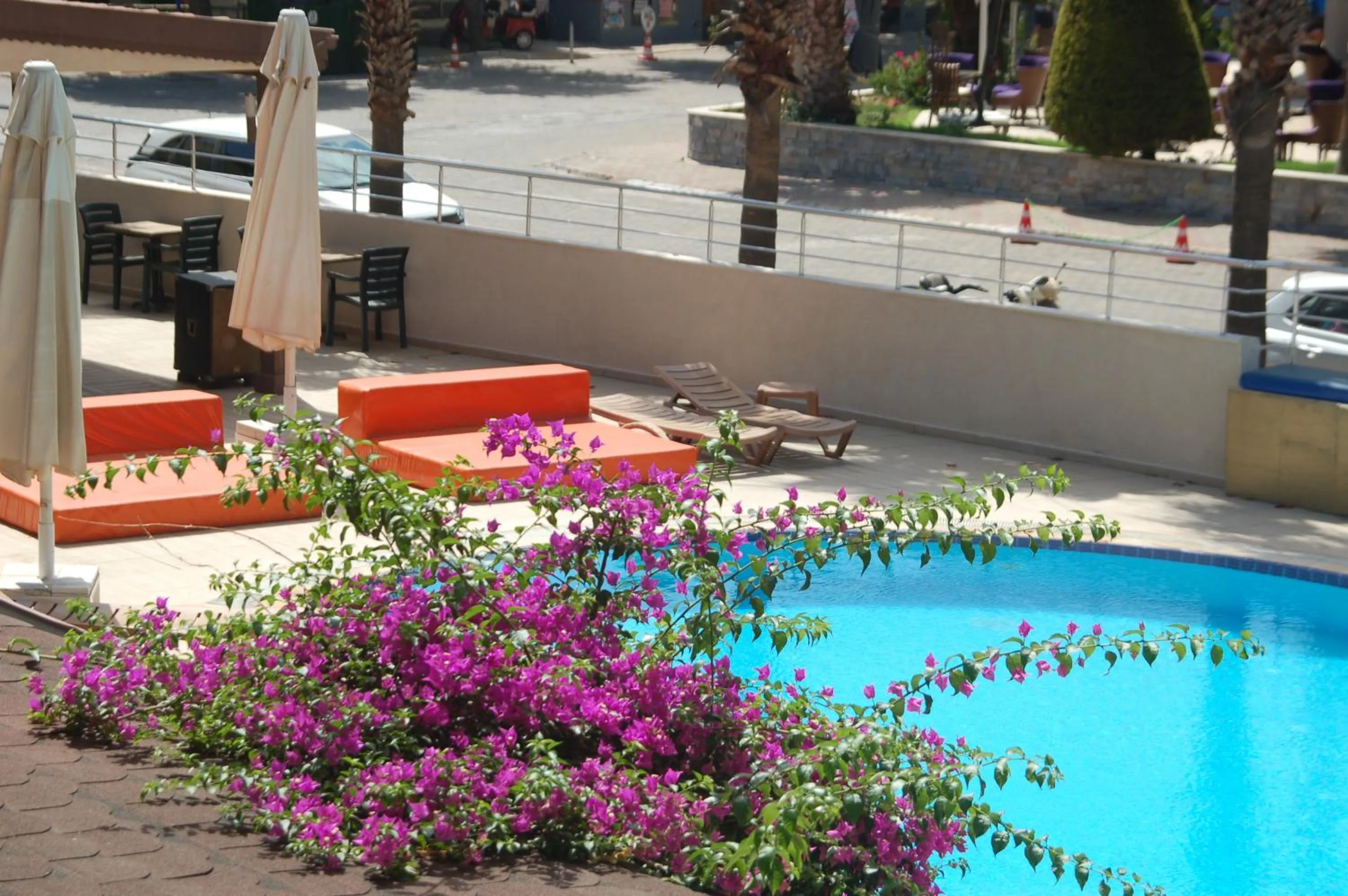 Swimming pool in Astoria Life Hotel