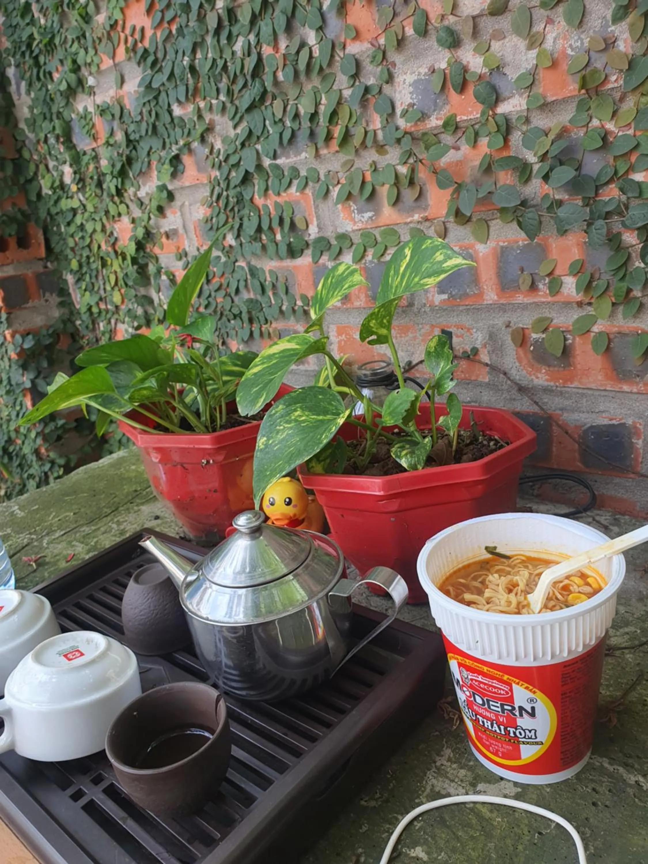 Nha Xanh Ha Long Homestay