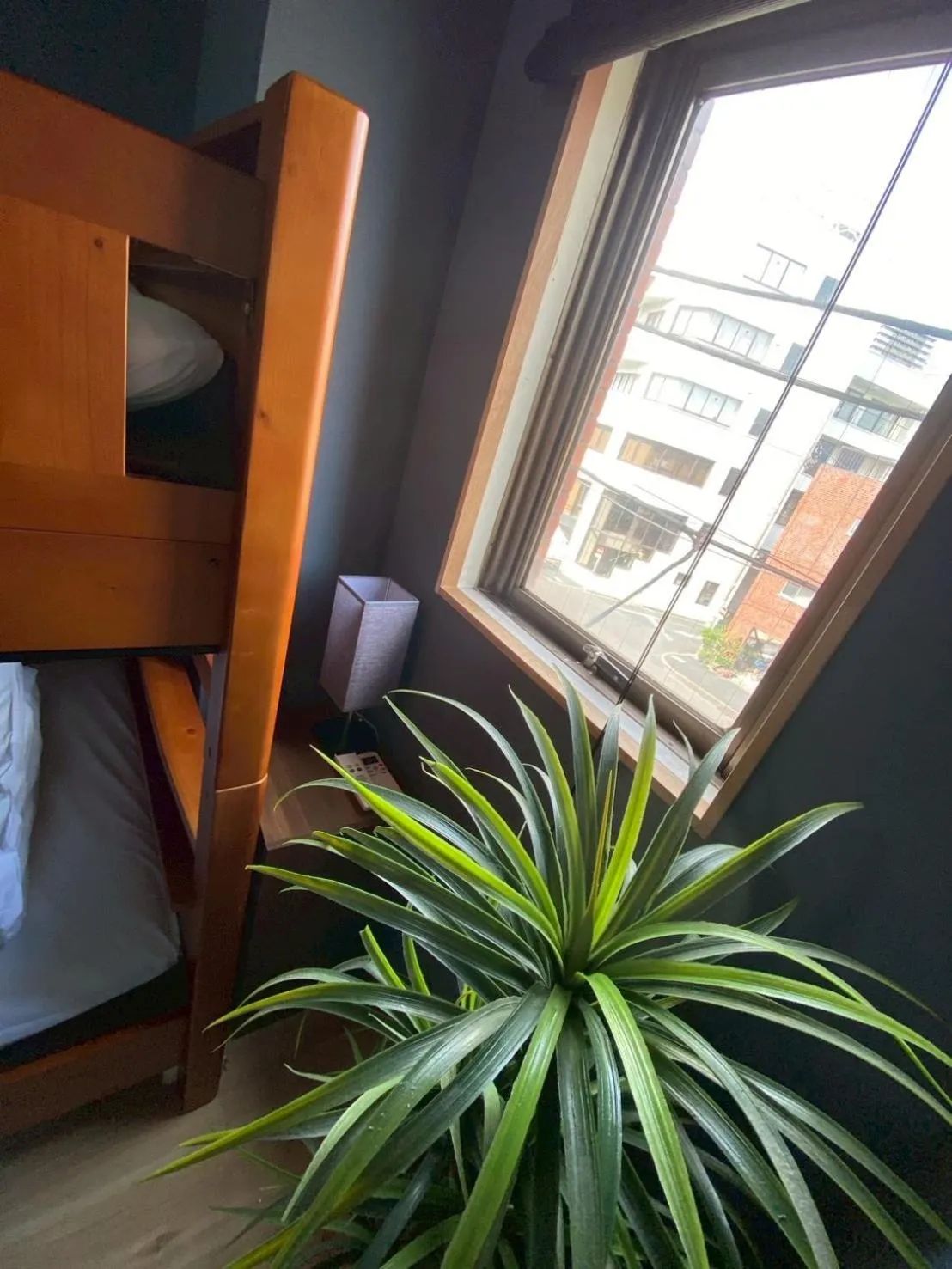 Bed in STAY WORK ASAKUSA guest house 浅草店