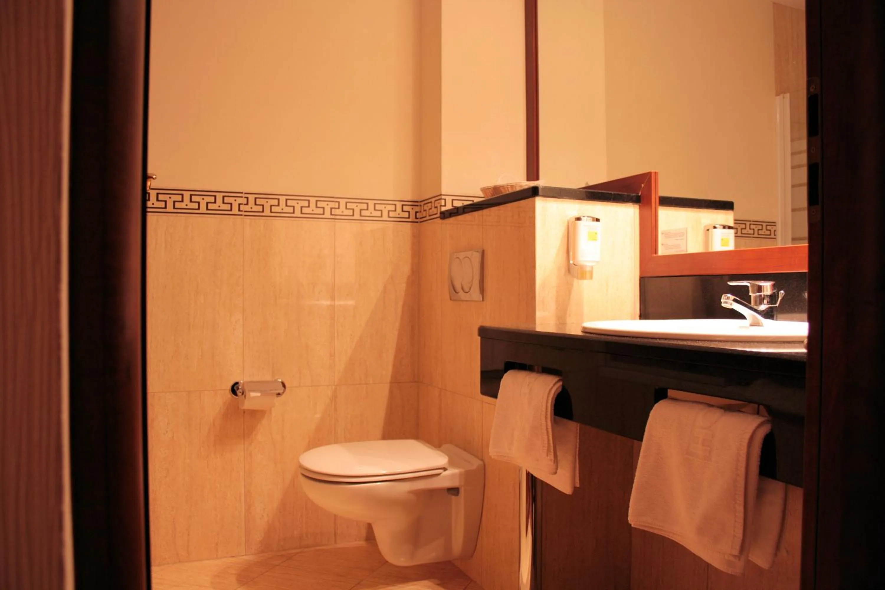 Toilet in Hotel SPA Faltom Gdynia Rumia