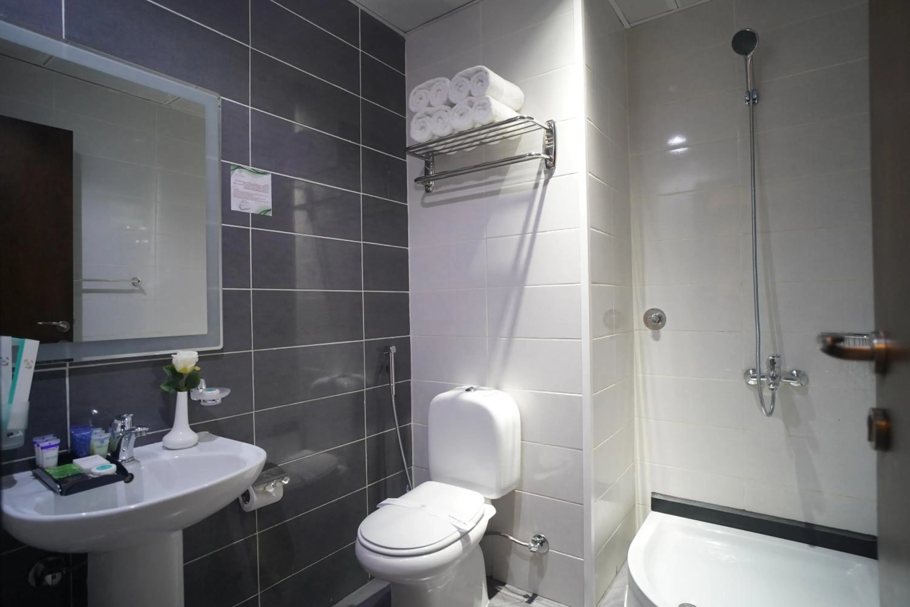 Shower in Emaar Andalusia