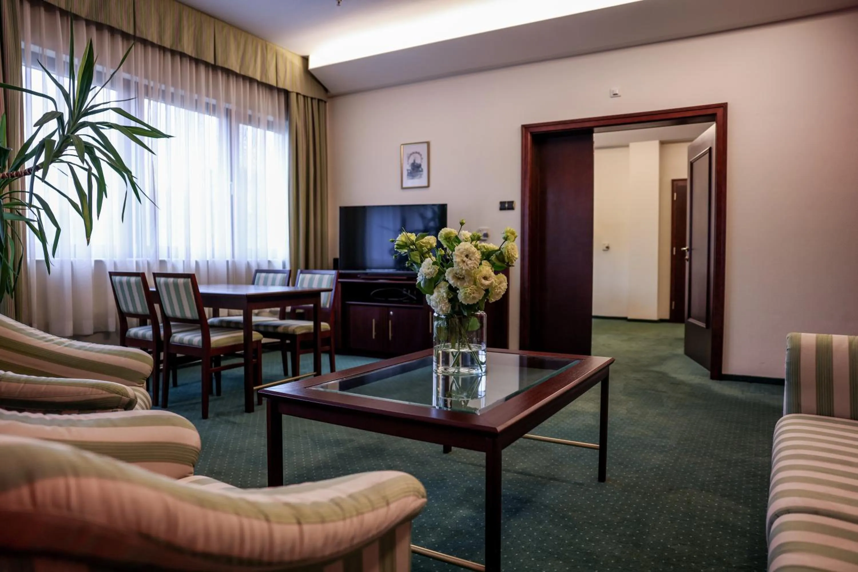 TV and multimedia in Park Hotel Diament Bielsko-Biała