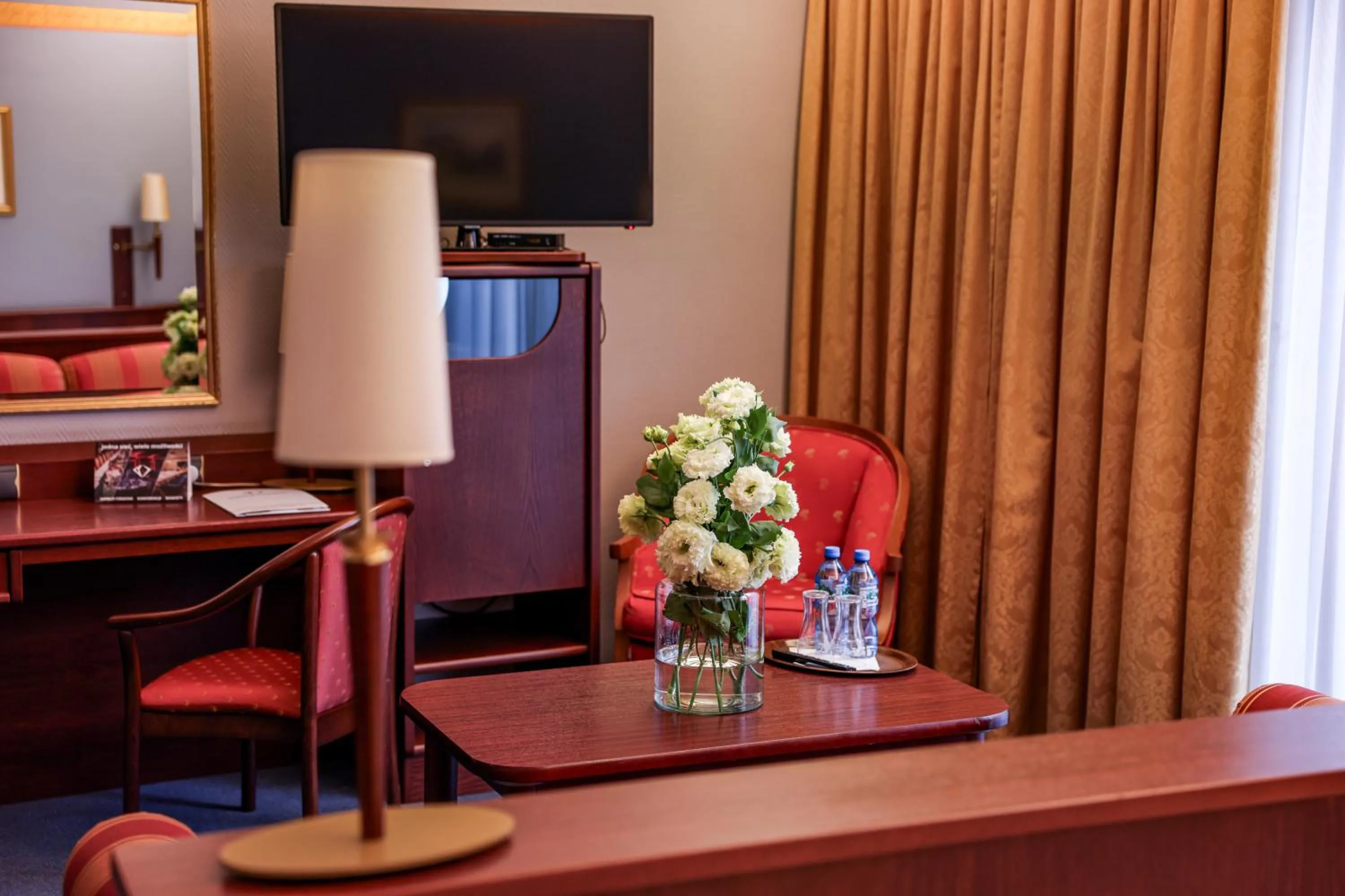 TV and multimedia in Park Hotel Diament Bielsko-Biała