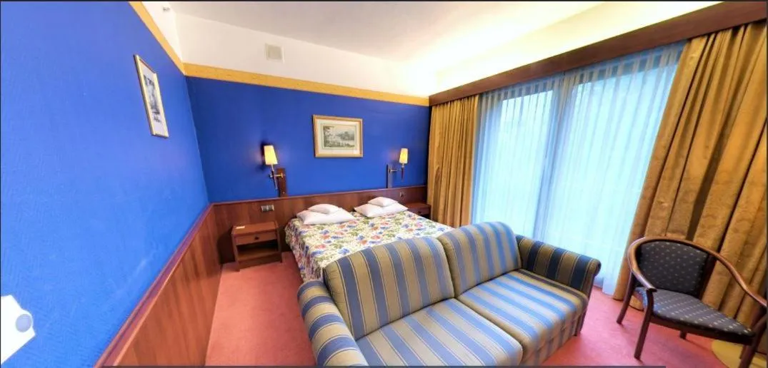 Deluxe King Room in Park Hotel Diament Bielsko-Biała
