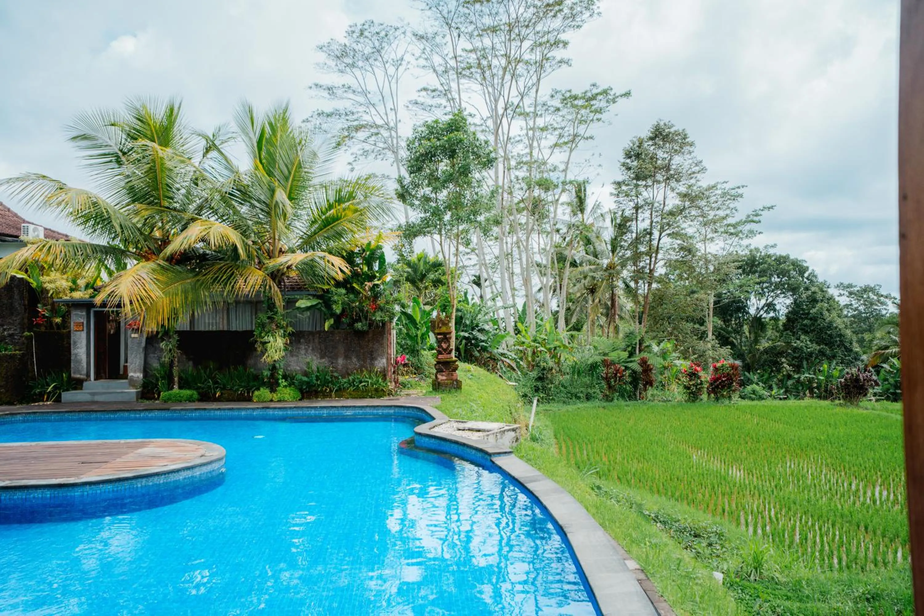 View (from property/room) in Tanta Escape