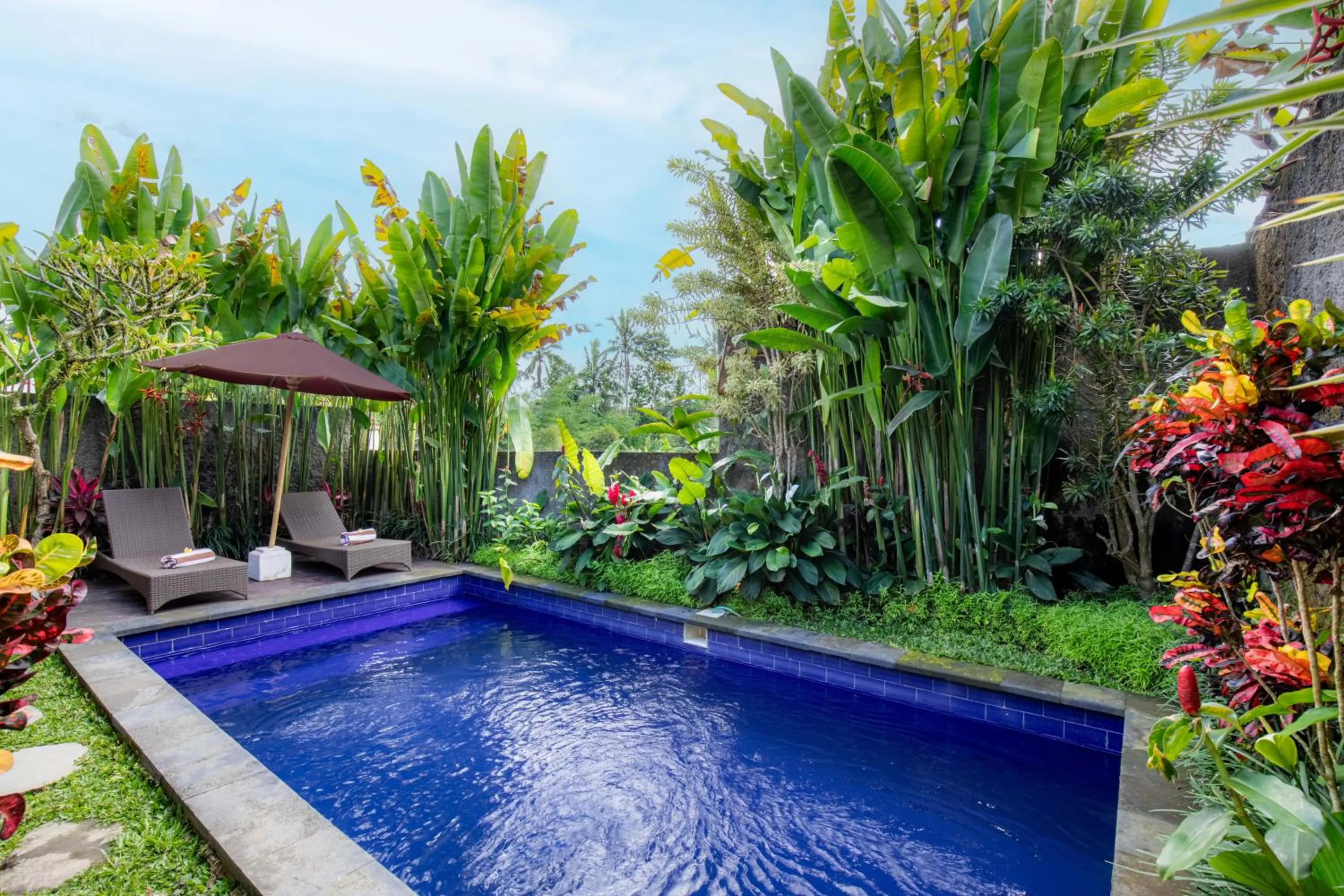 Natural landscape in Tanta Escape