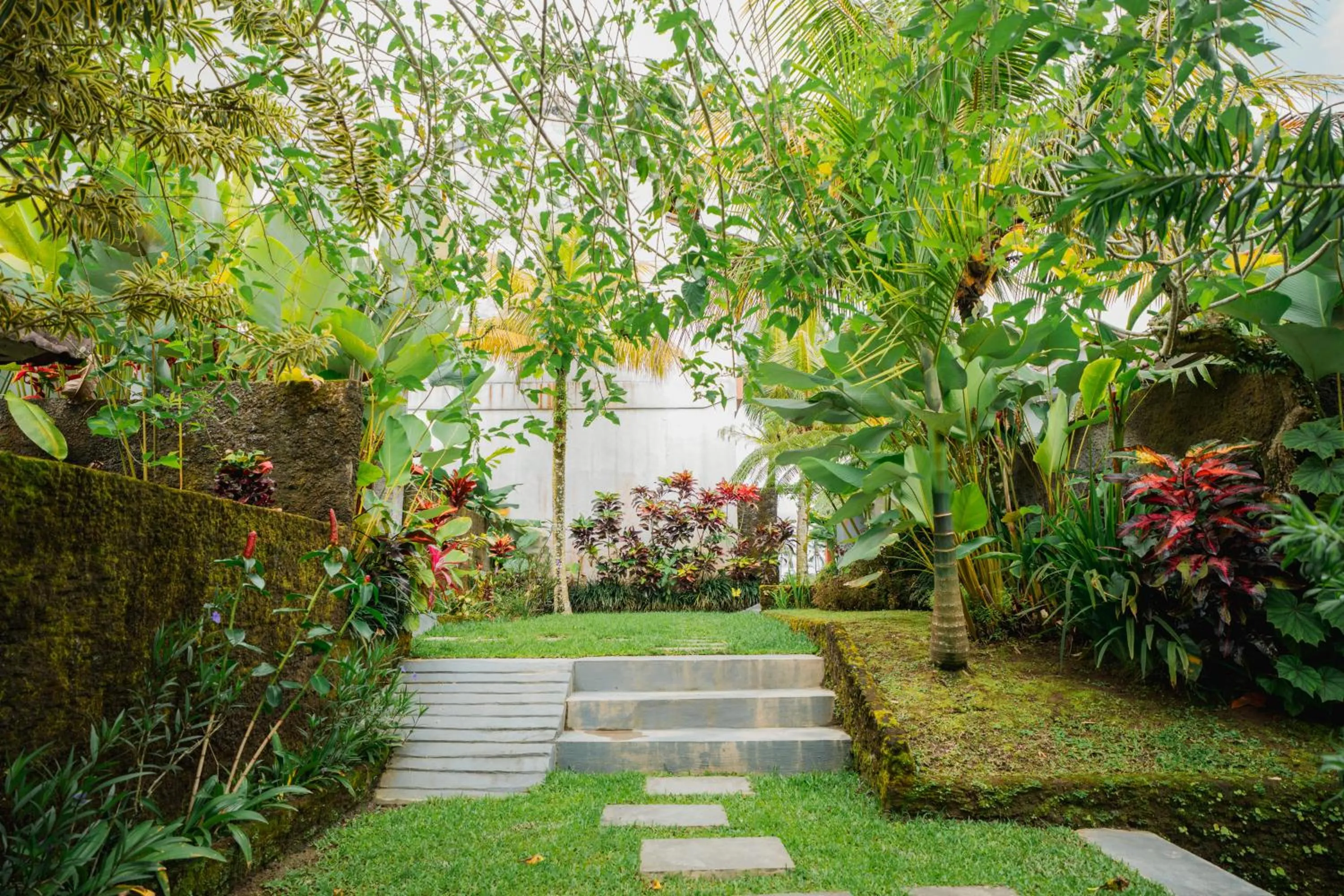 Garden in Tanta Escape