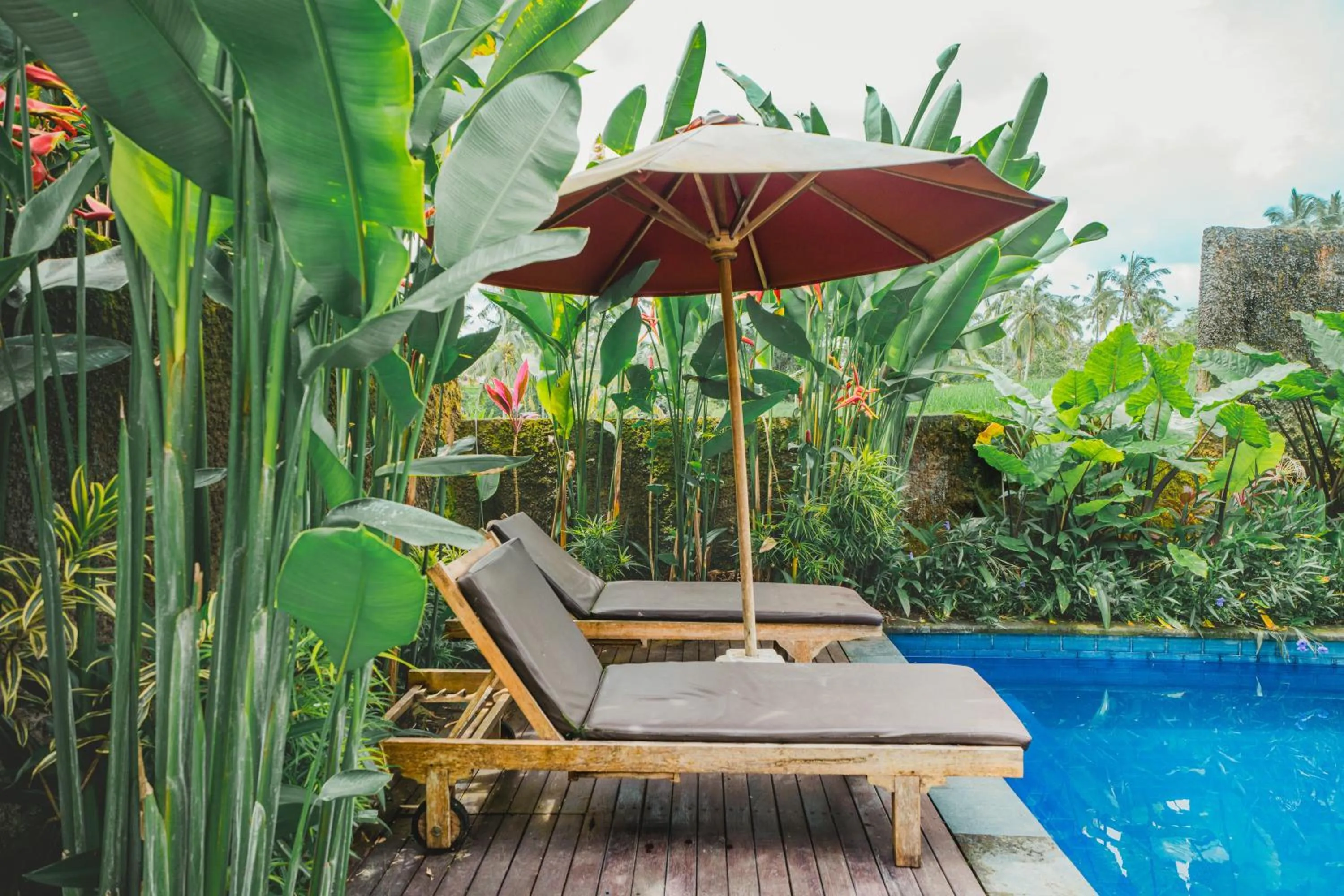 Garden view in Tanta Escape