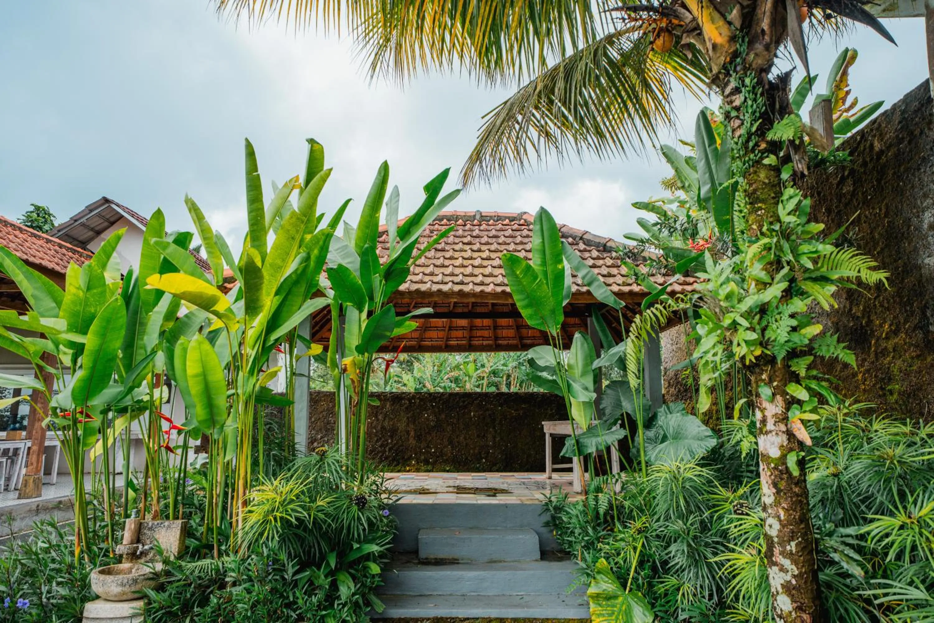 Property building in Tanta Escape