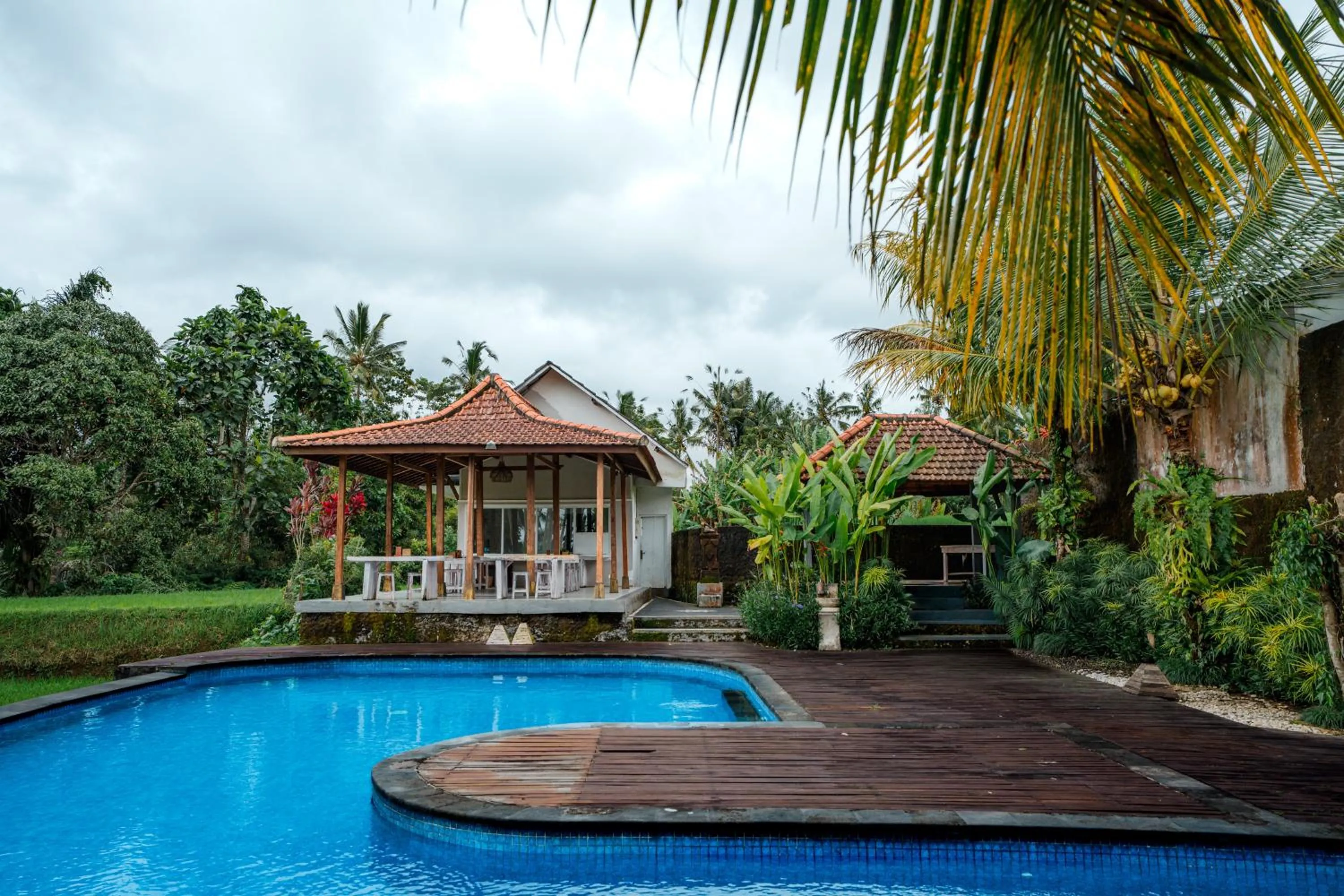 Property building in Tanta Escape