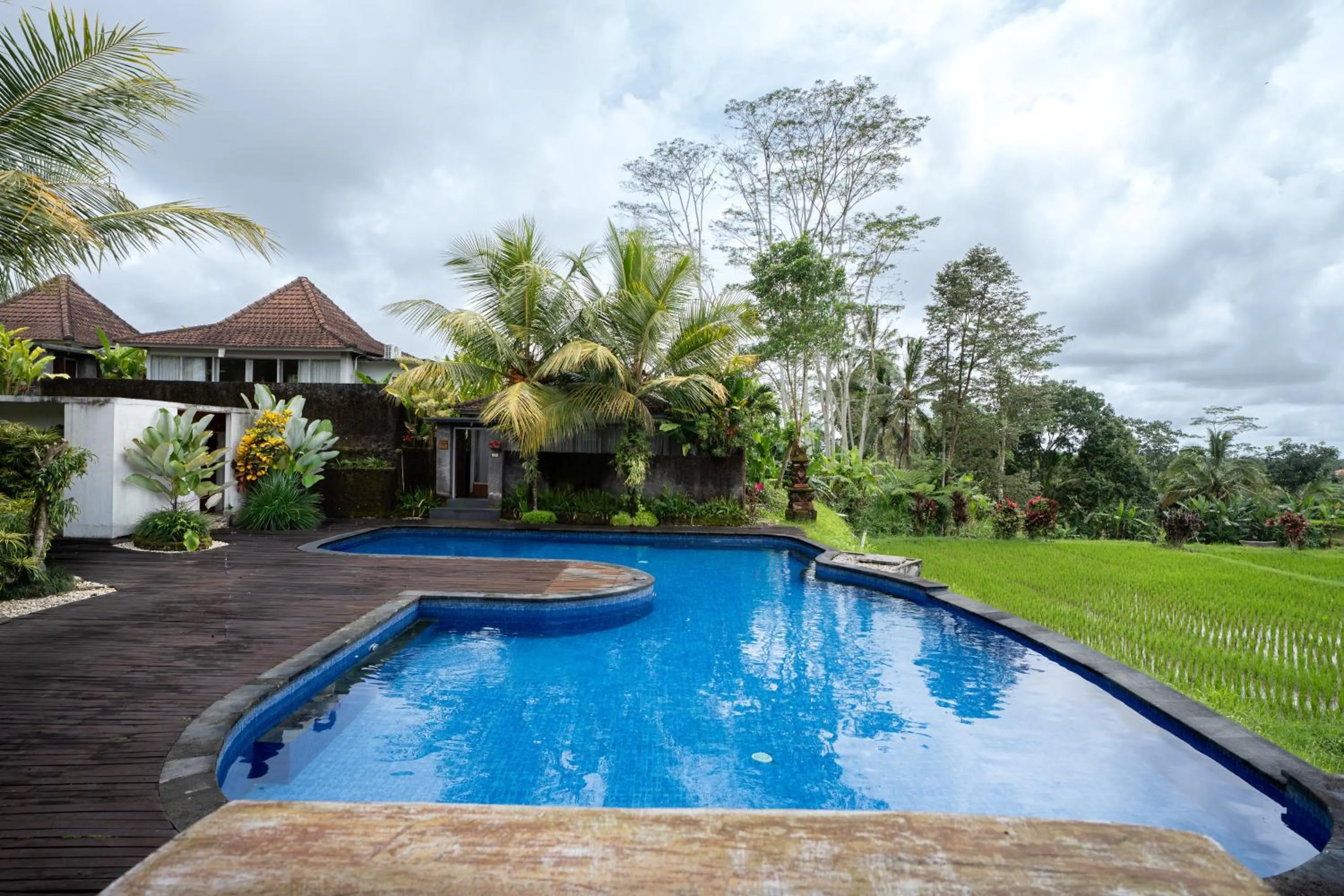 View (from property/room) in Tanta Escape