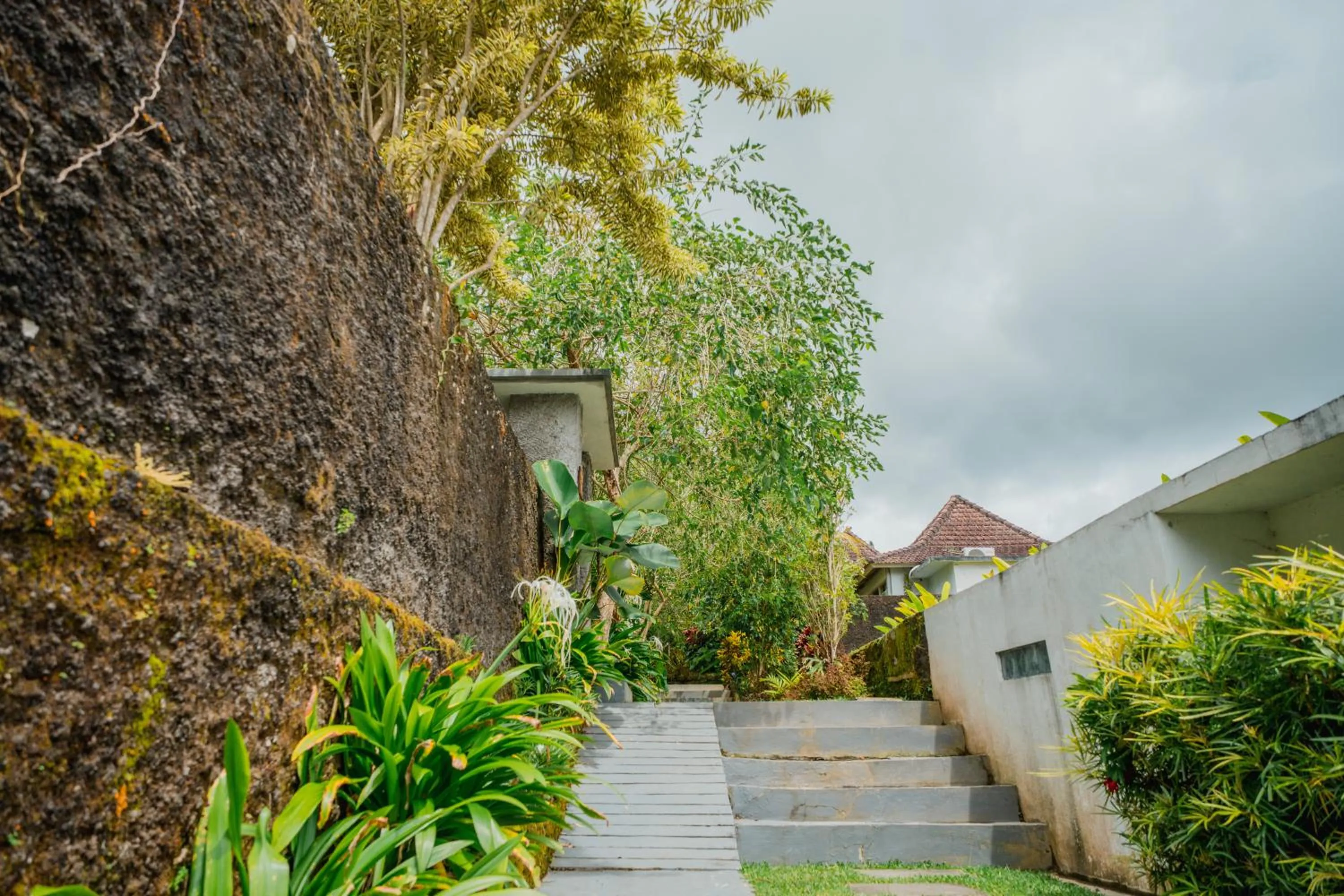 Property building in Tanta Escape