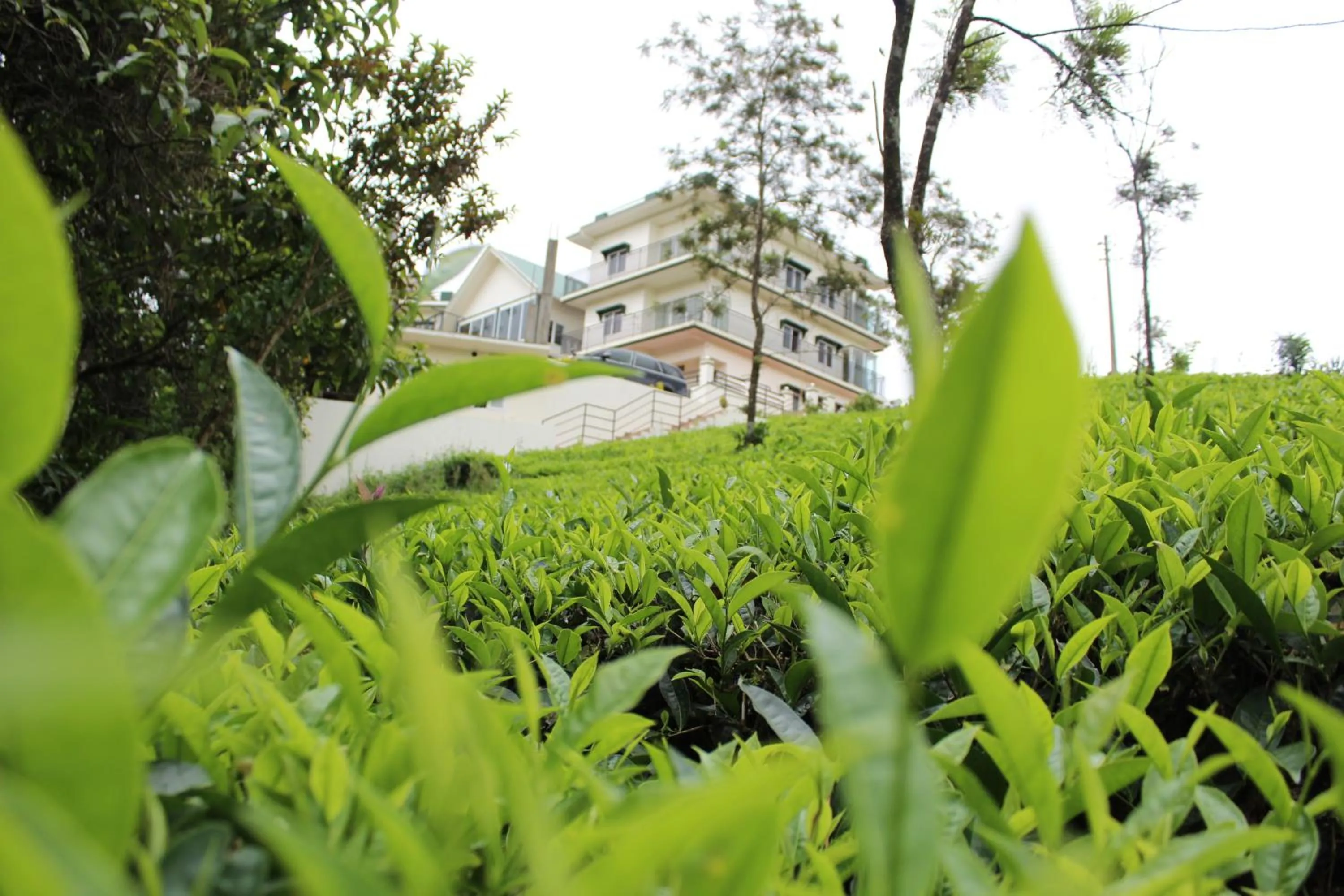 Property building in Pine Clough Resort Vagamon