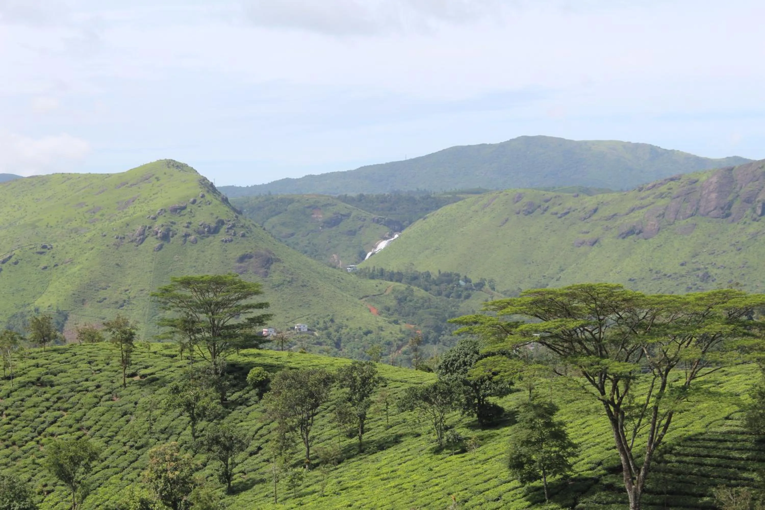 Natural landscape in Pine Clough Resort Vagamon