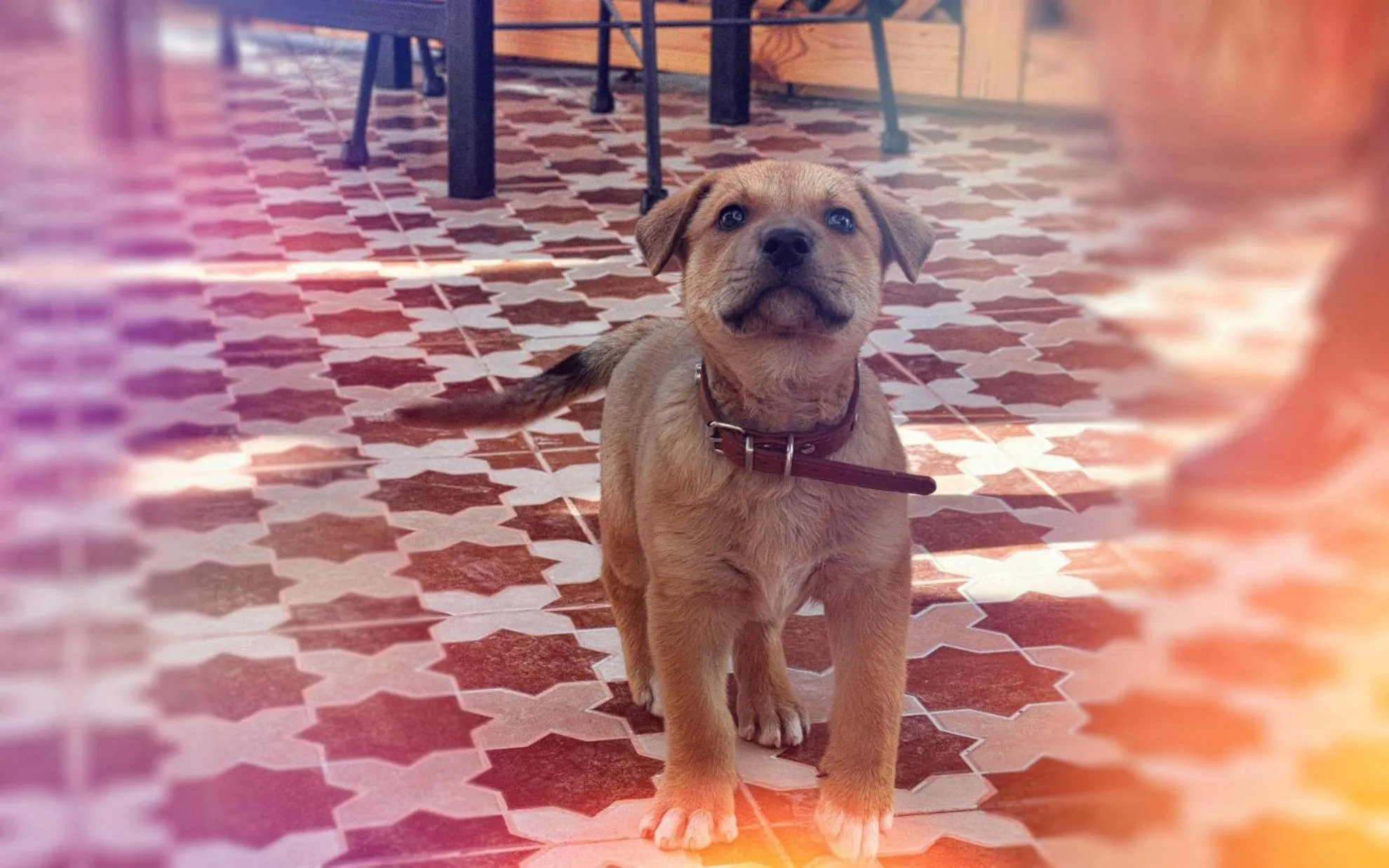 Other in BLUE WAVE LODGE